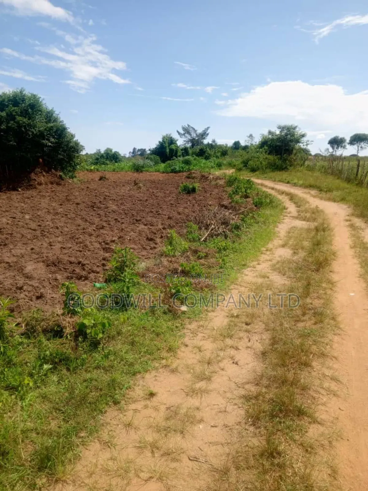 24 Acres of Land in Sunga Masaka on Bukakata Road in Central Division