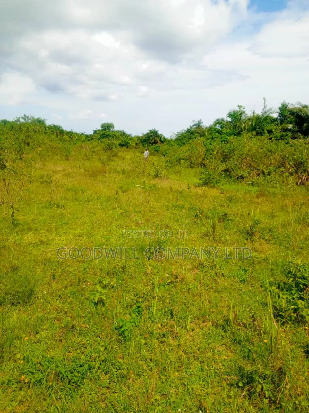 24 Acres of Land in Sunga Masaka on Bukakata Road in Central Division