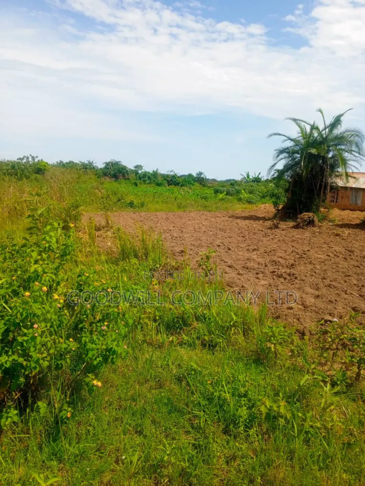 24 Acres of Land in Sunga Masaka on Bukakata Road in Central Division