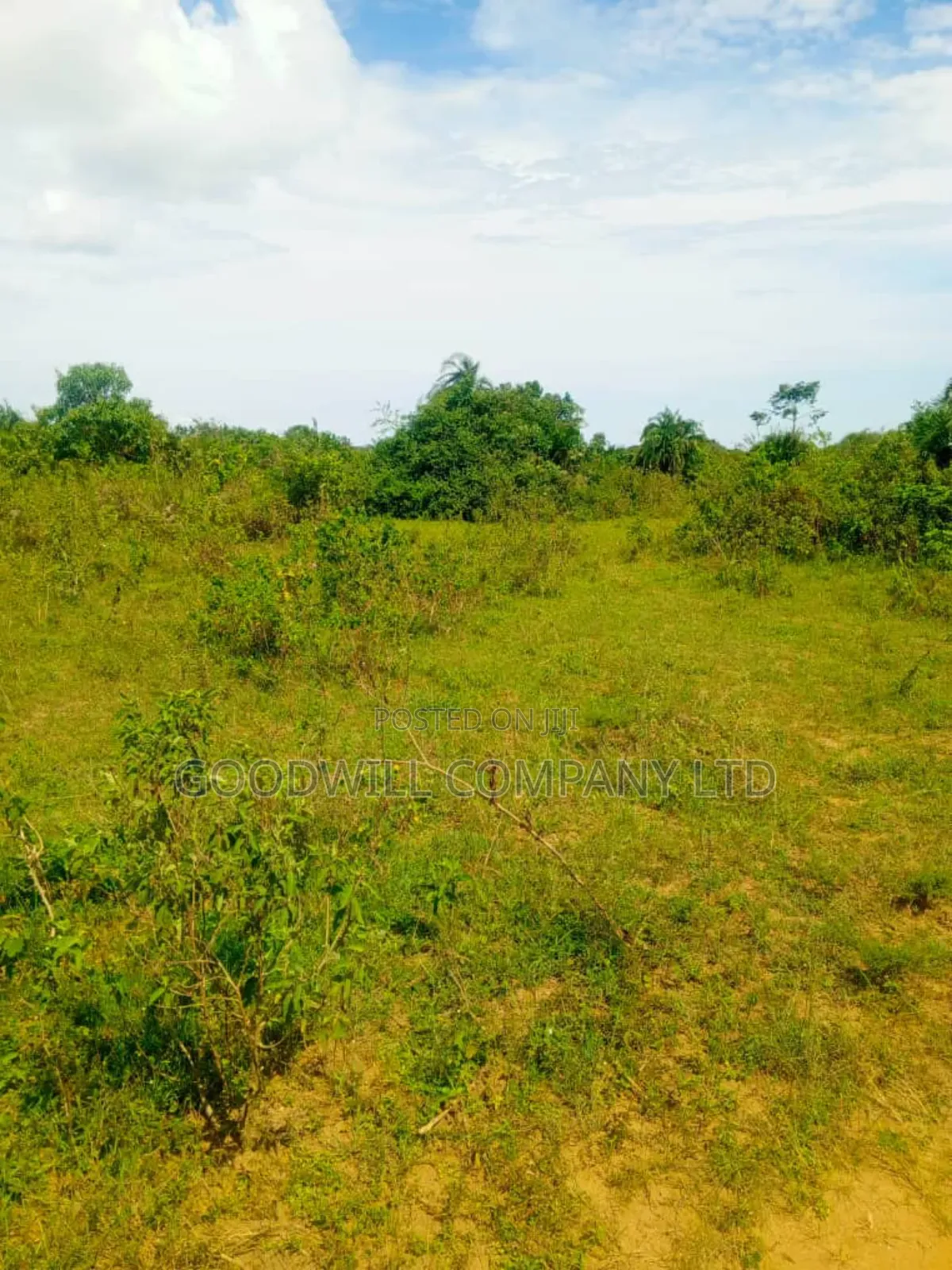 24 Acres of Land in Sunga Masaka on Bukakata Road in Central Division