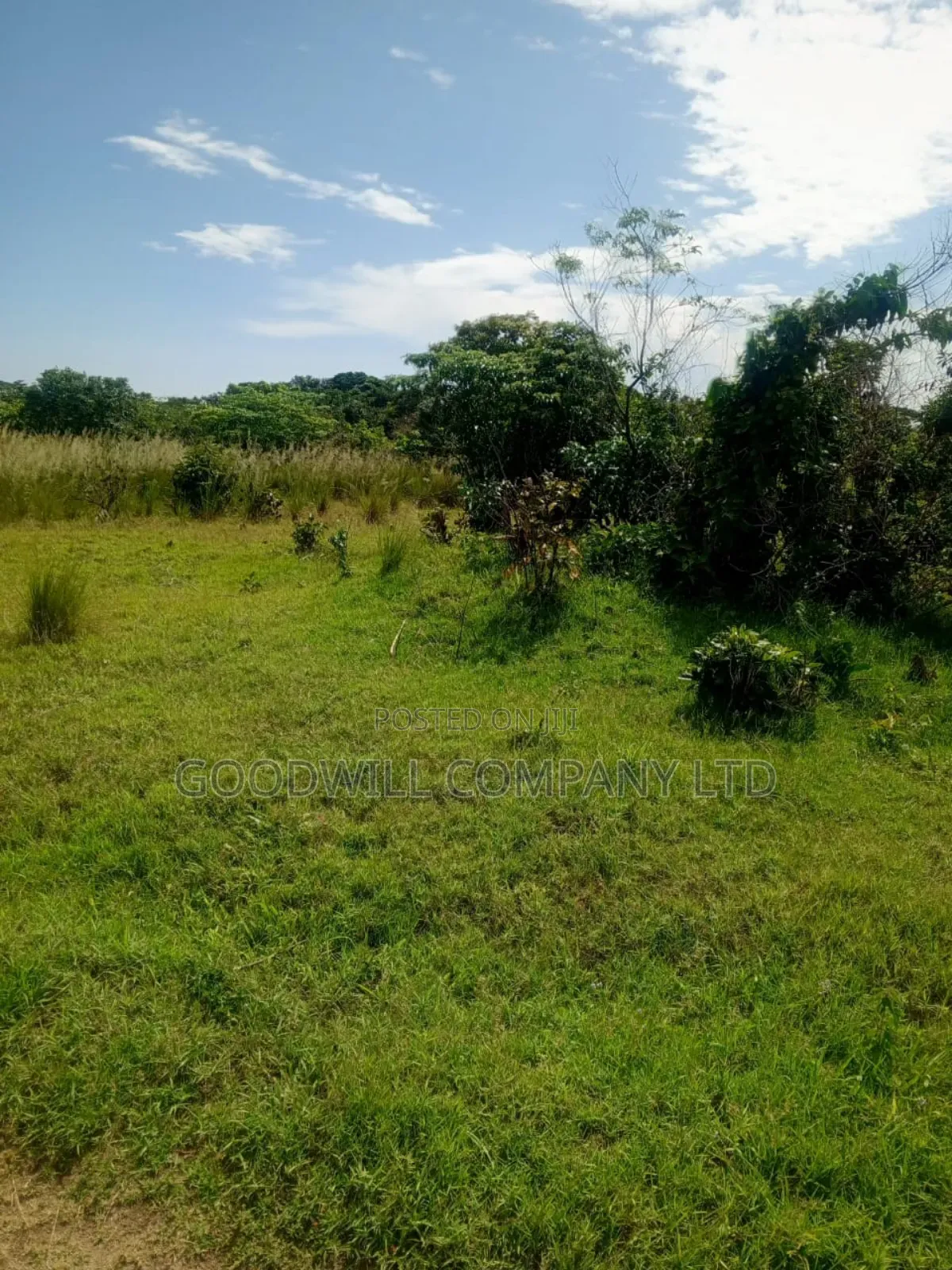 50 Acres of Land in Masaka on Bukakata Road in Central Division