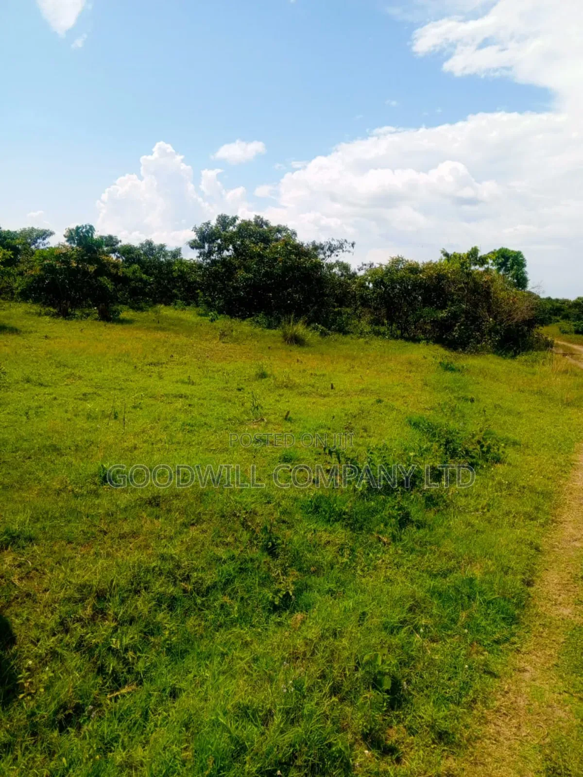 50 Acres of Land in Masaka on Bukakata Road in Central Division
