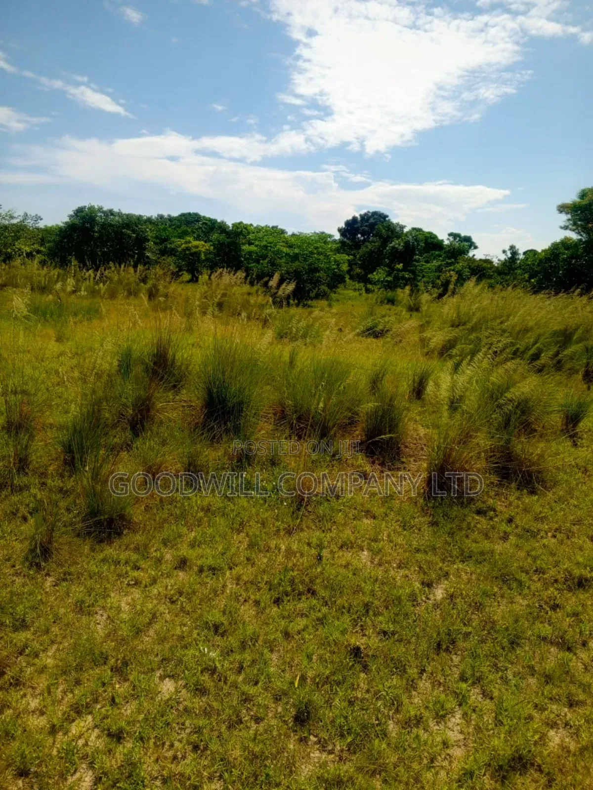 50 Acres of Land in Masaka on Bukakata Road in Central Division