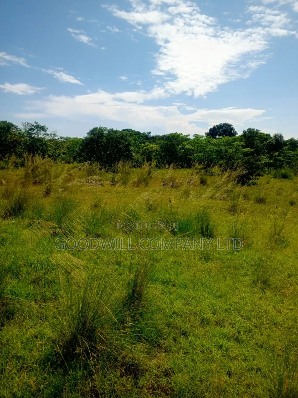 50 Acres of Land in Masaka on Bukakata Road in Central Division