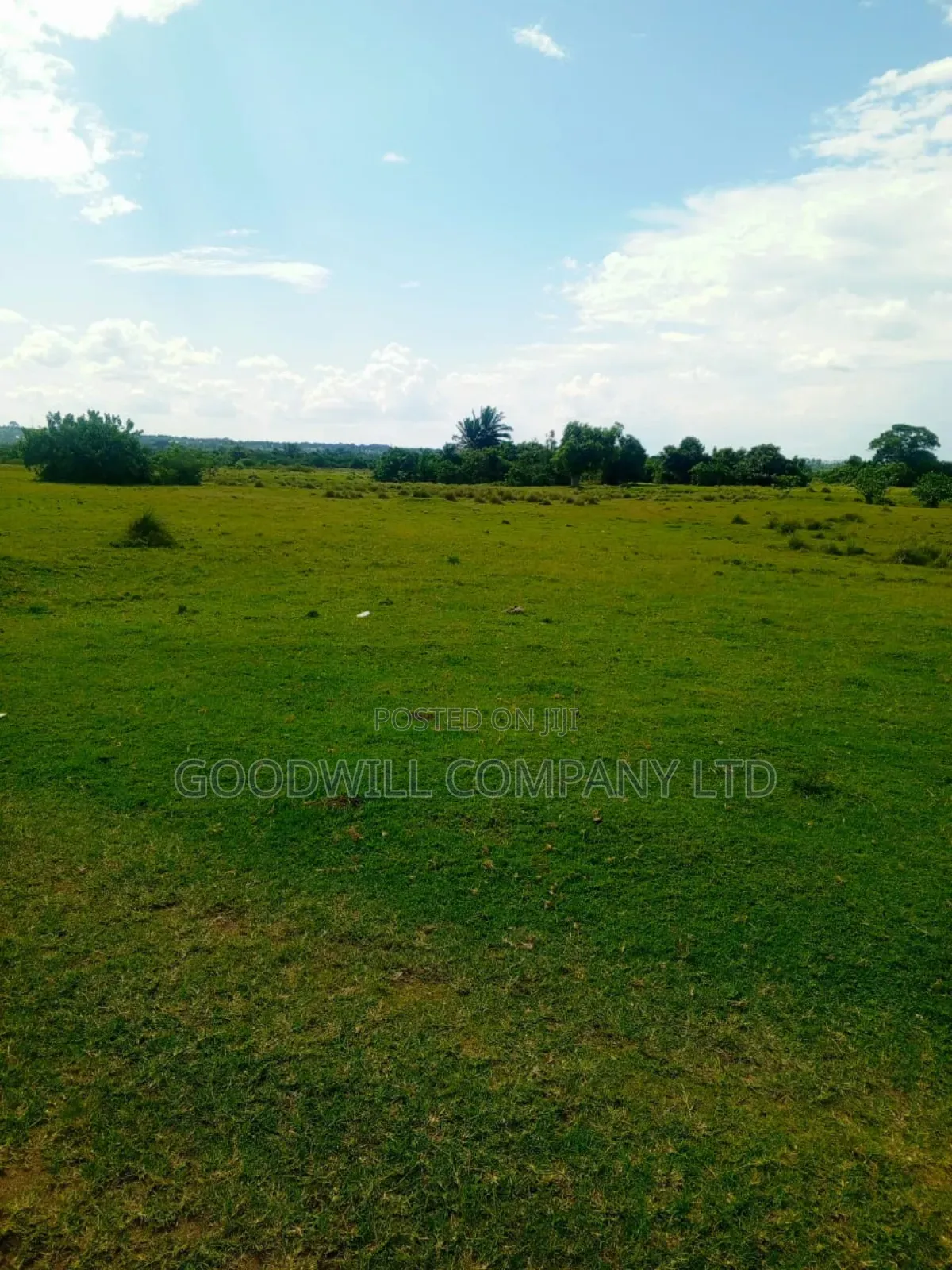 80 Acres of Land in Masaka on Bukakata Road Freehold Title in Central Division