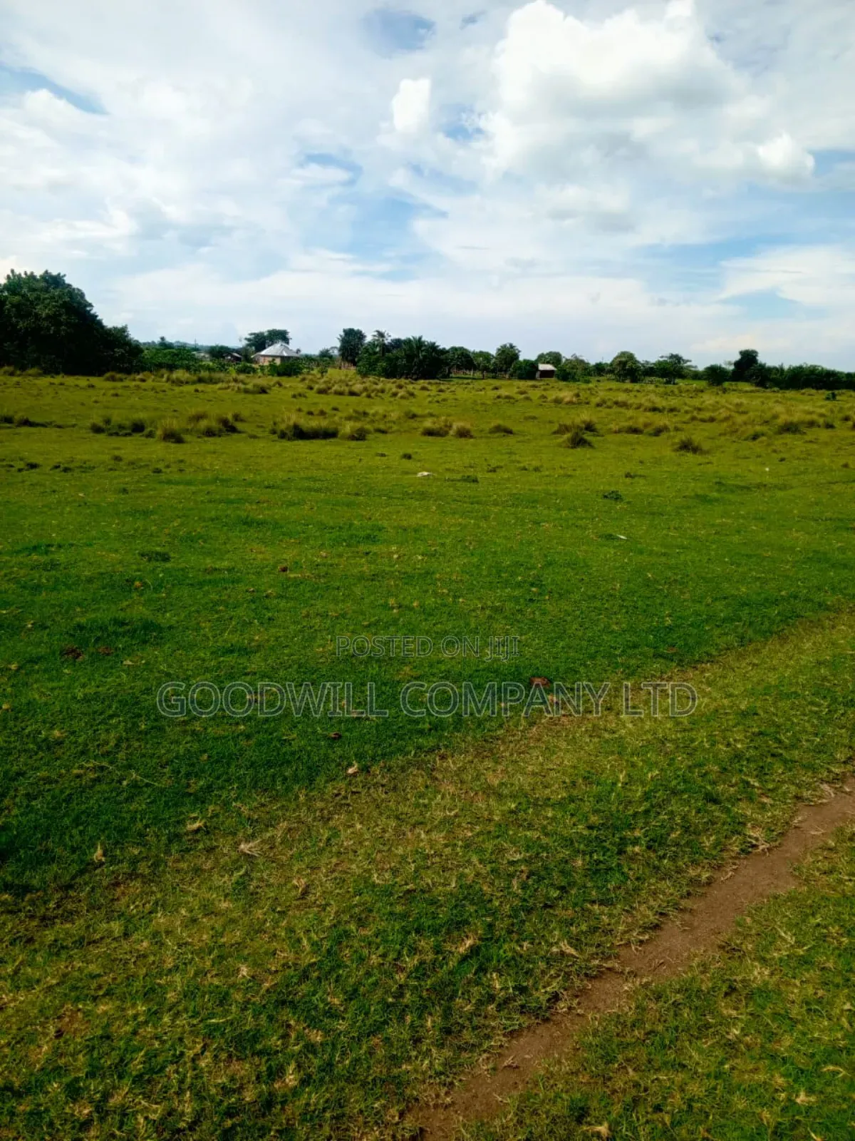 80 Acres of Land in Masaka on Bukakata Road Freehold Title in Central Division