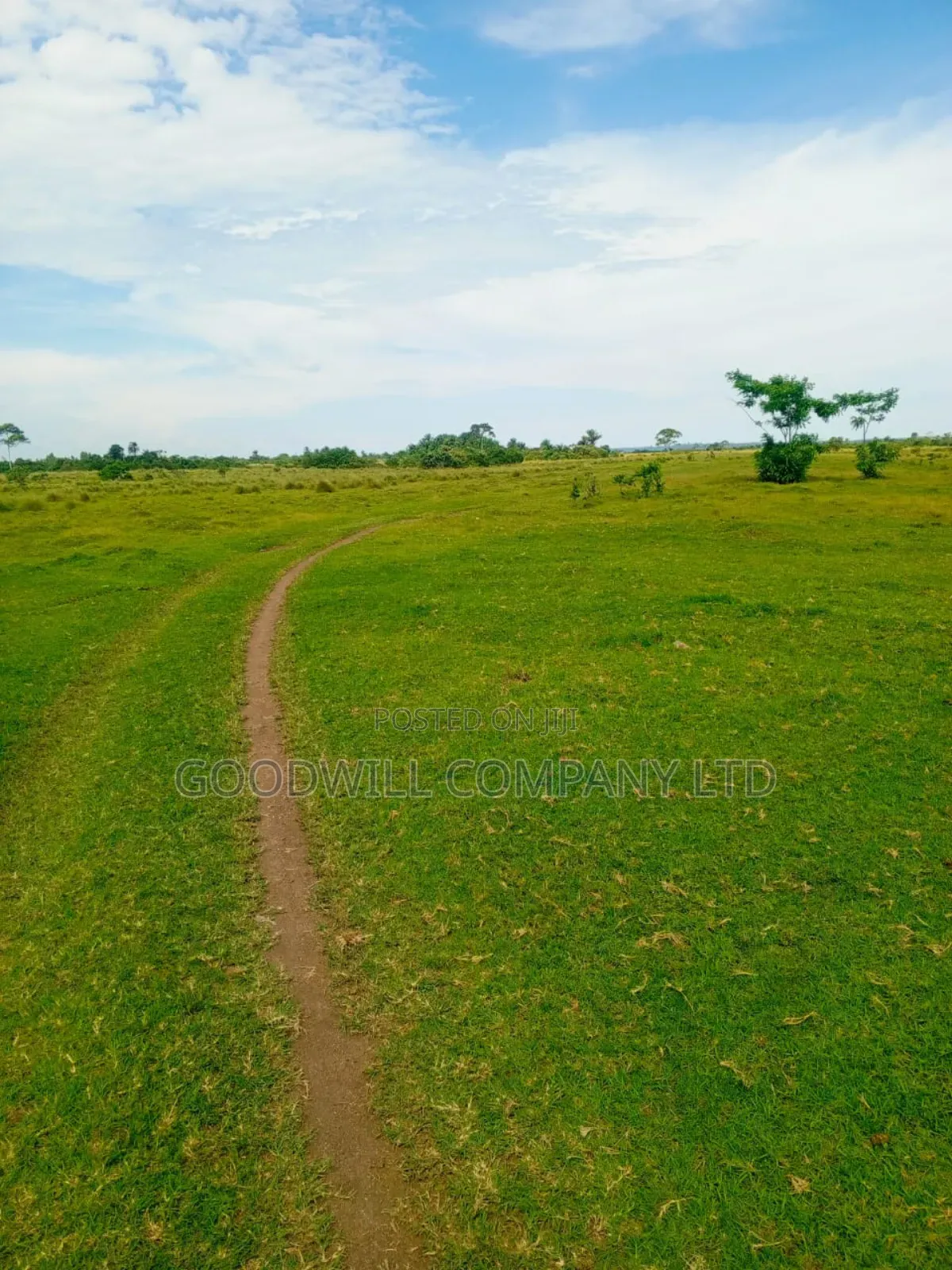 80 Acres of Land in Masaka on Bukakata Road Freehold Title in Central Division