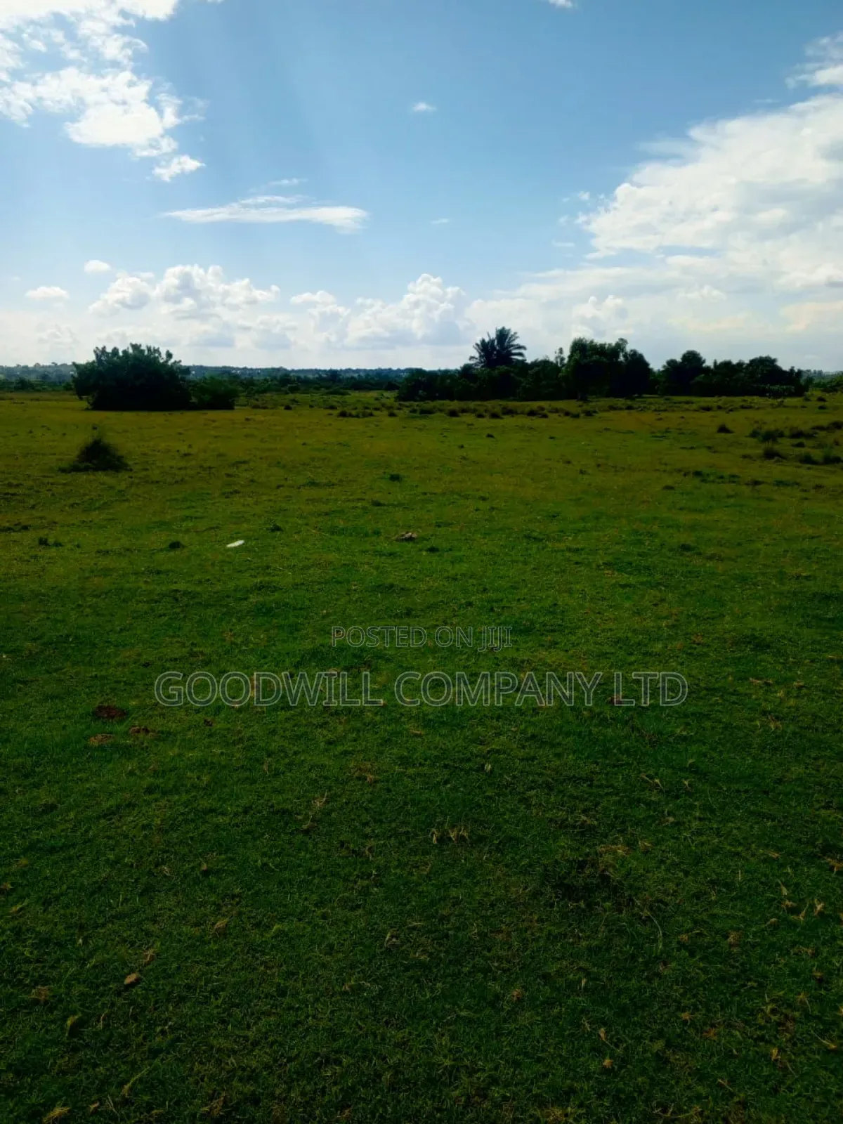 80 Acres of Land in Masaka on Bukakata Road Freehold Title in Central Division