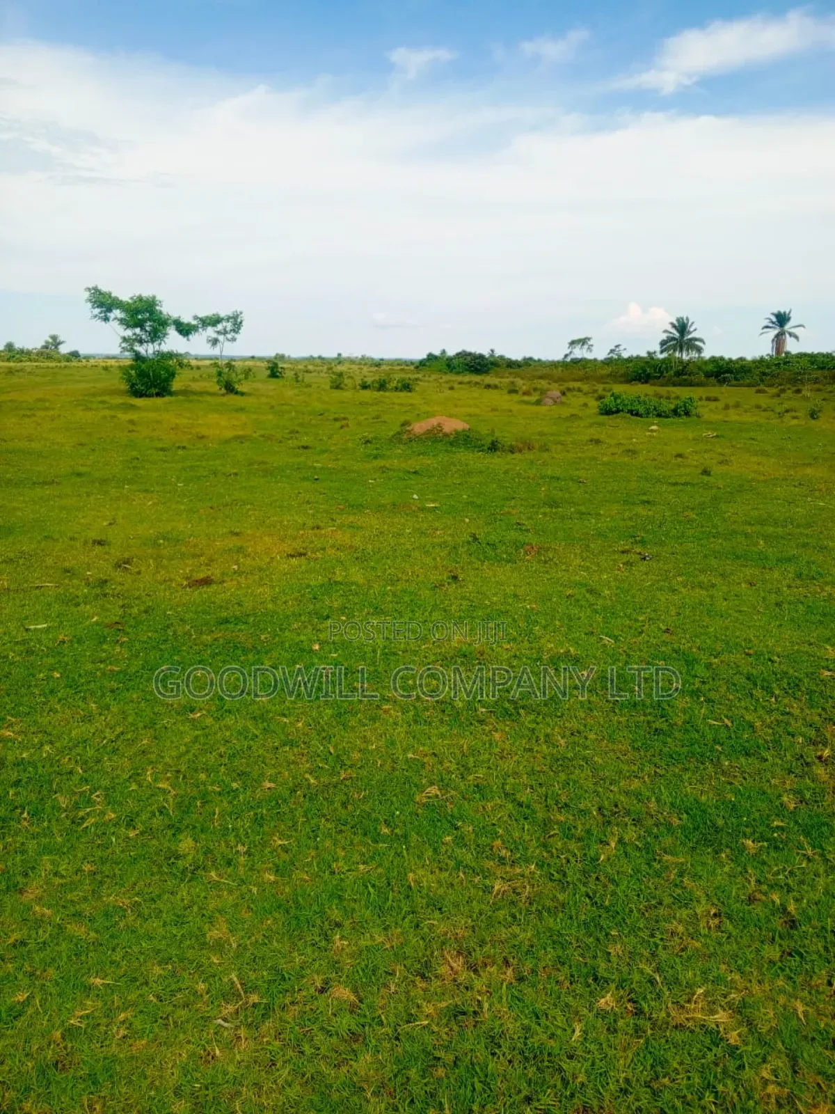 100ares of Land in Nsasi Mpiji Masaka Road in Central Division