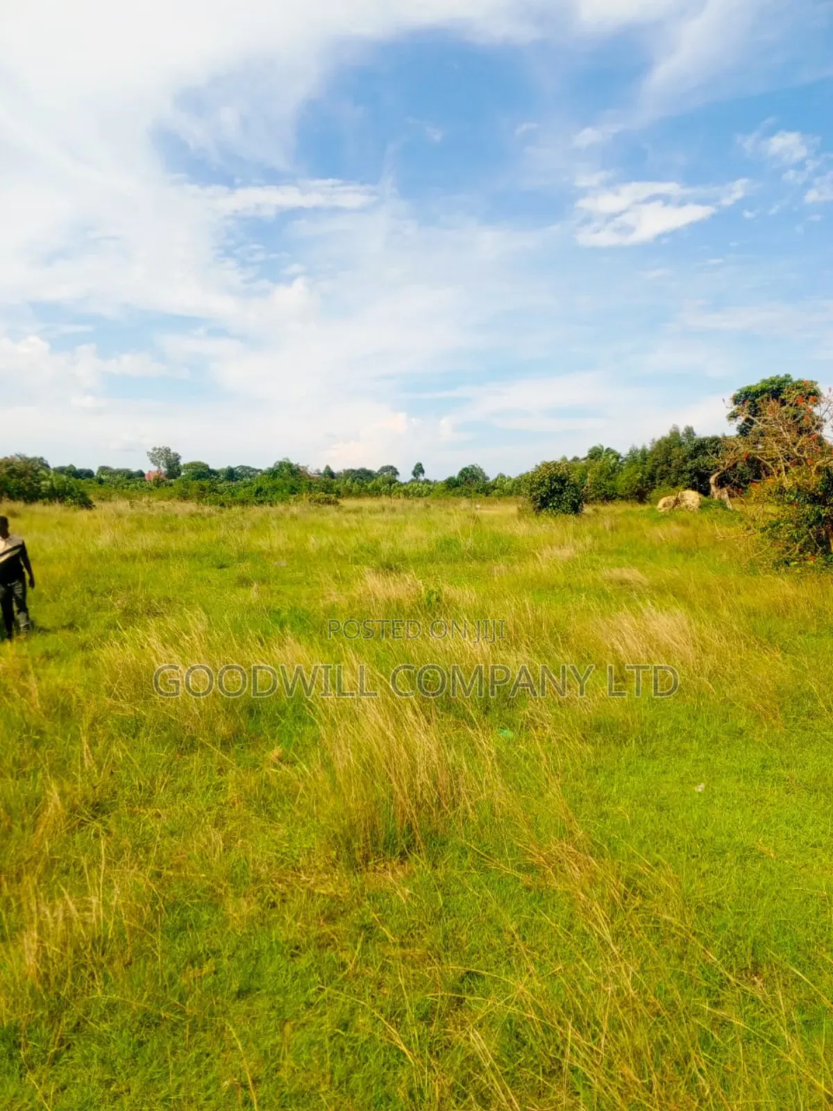 100 Acres of Land in Masaka on Bukakata Mukono Road in Central Division