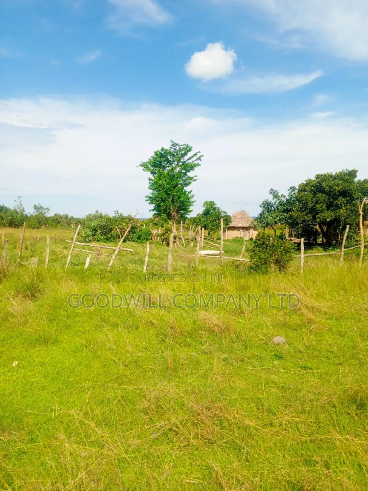 100 Acres of Land in Masaka on Bukakata Mukono Road in Central Division