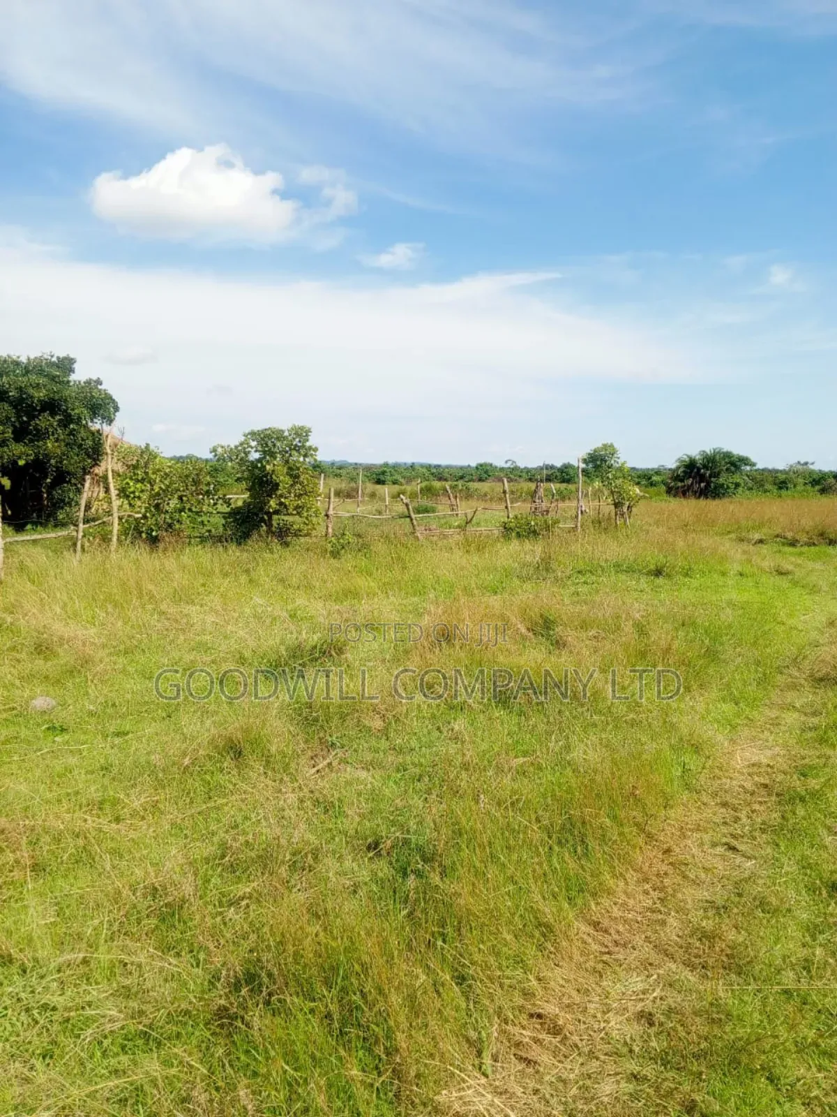 100 Acres of Land in Masaka on Bukakata Mukono Road in Central Division