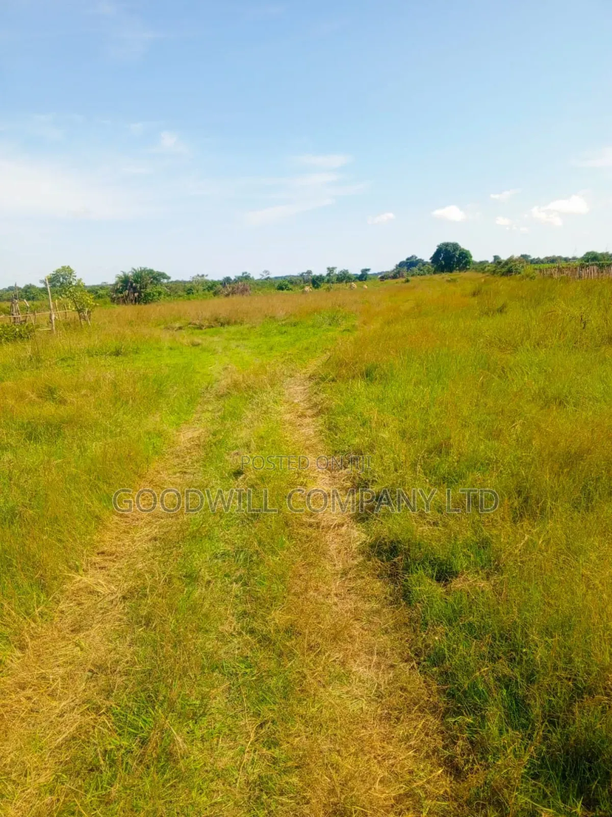 100 Acres of Land in Masaka on Bukakata Mukono Road in Central Division