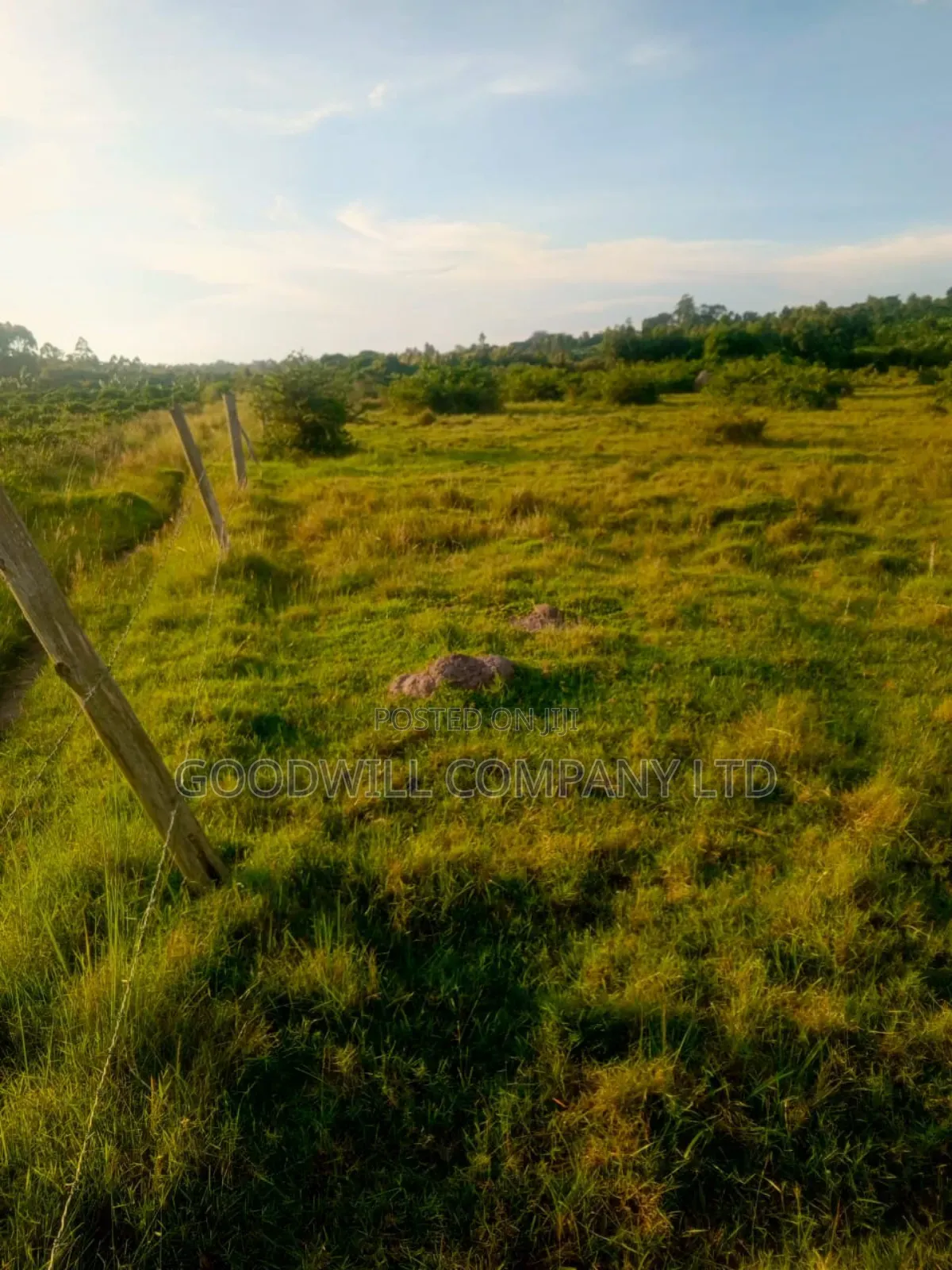 90 Acres of Land Luwunga Lusagazi Mawokota Masaka Road in Central Division
