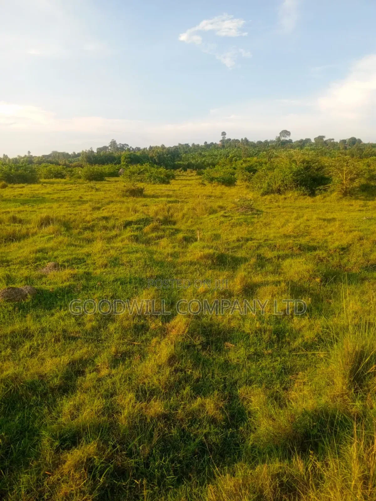 90 Acres of Land Luwunga Lusagazi Mawokota Masaka Road in Central Division