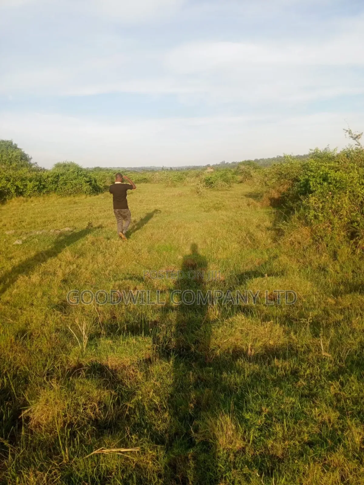 90 Acres of Land Luwunga Lusagazi Mawokota Masaka Road in Central Division