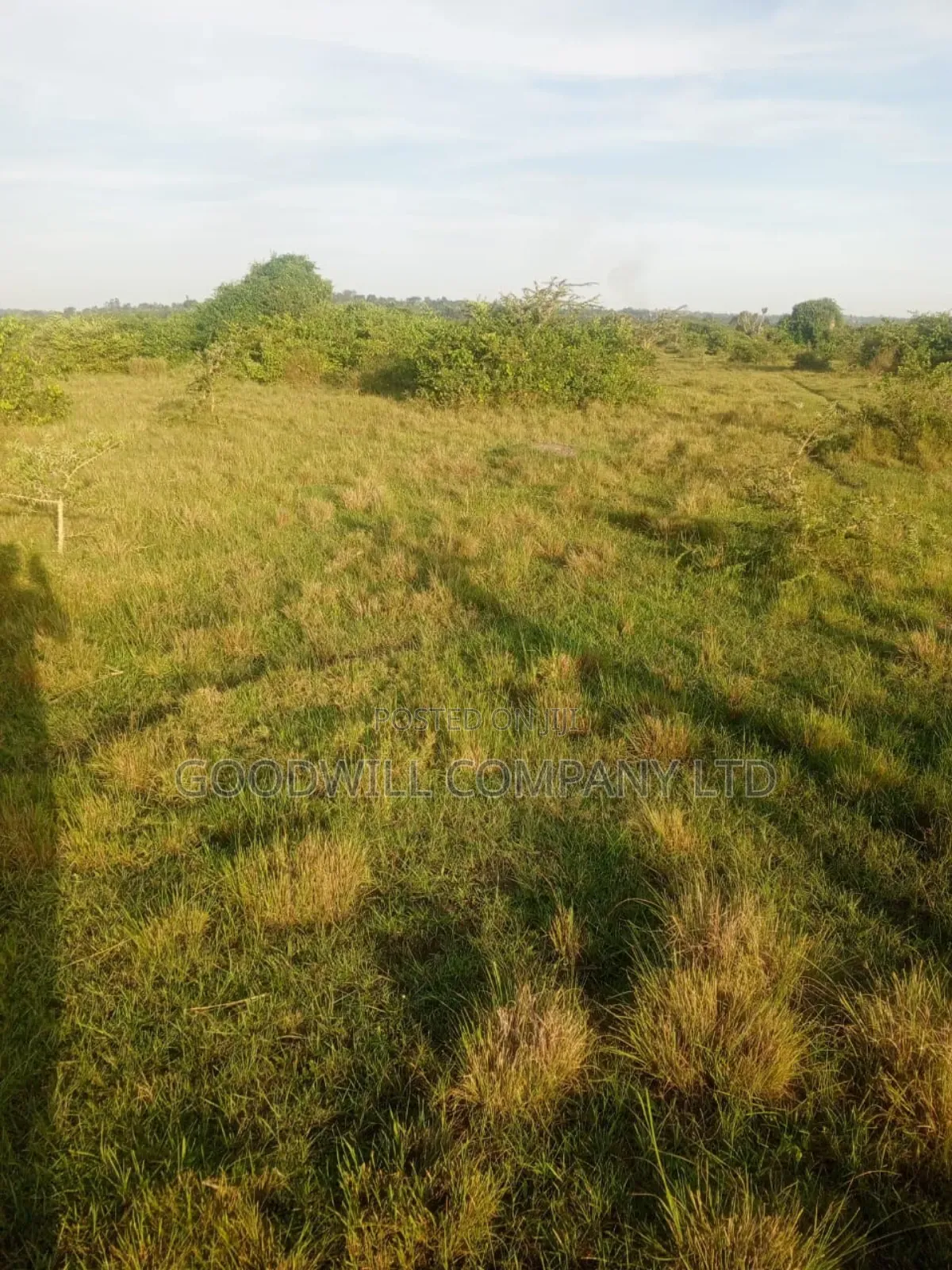 90 Acres of Land Luwunga Lusagazi Mawokota Masaka Road in Central Division