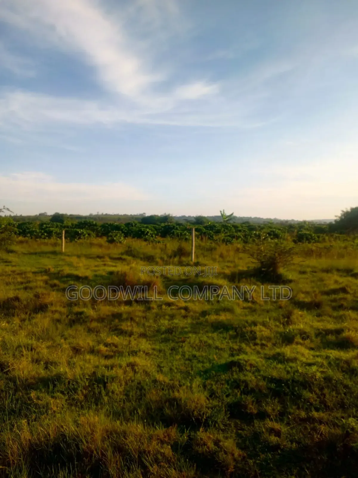 90 Acres of Land Luwunga Lusagazi Mawokota Masaka Road in Central Division