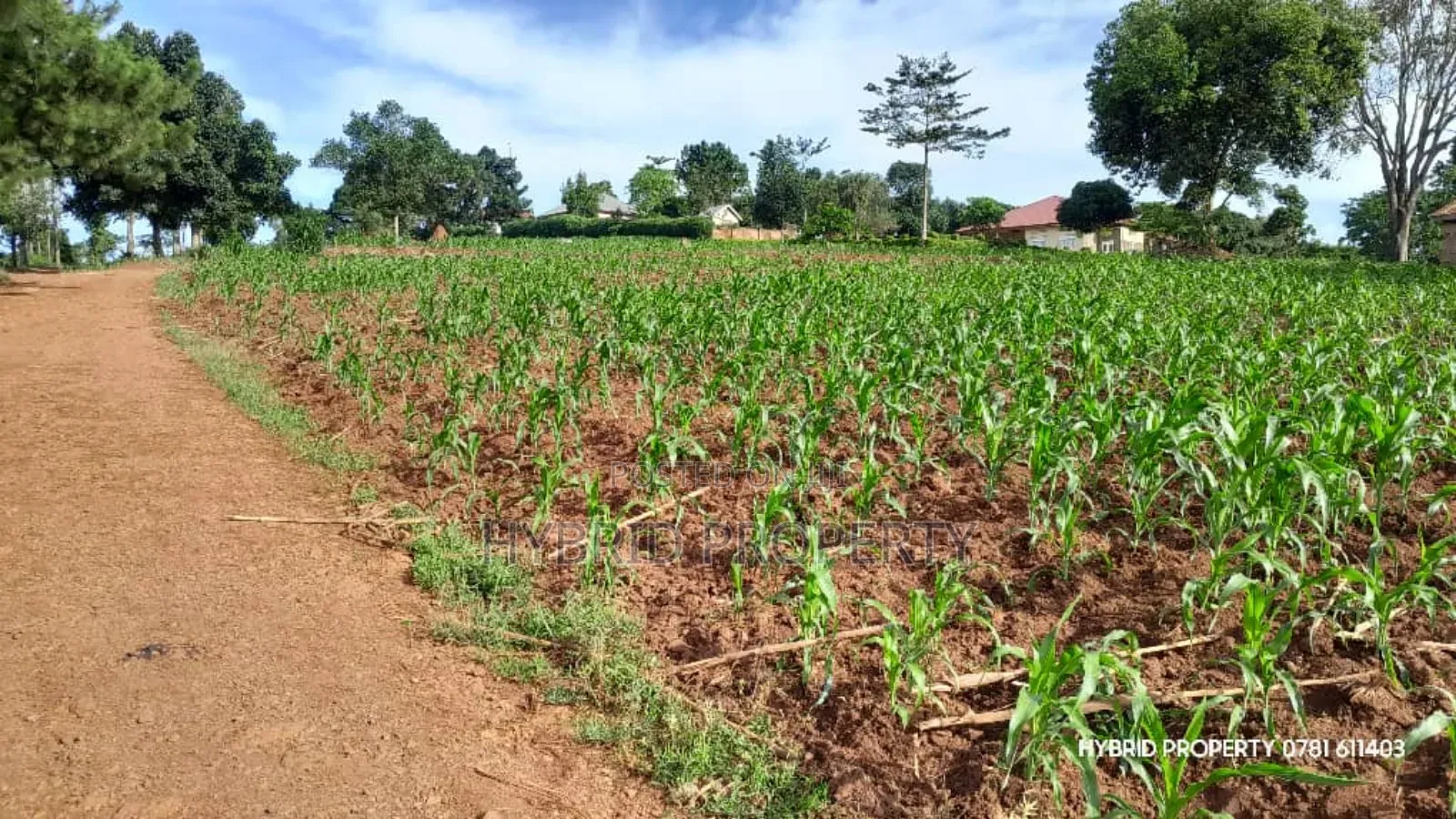 Prime Plots for Sale at Mpigi~Kalagala Hill View Land Estate~Masaka Rd in Mpigi TC