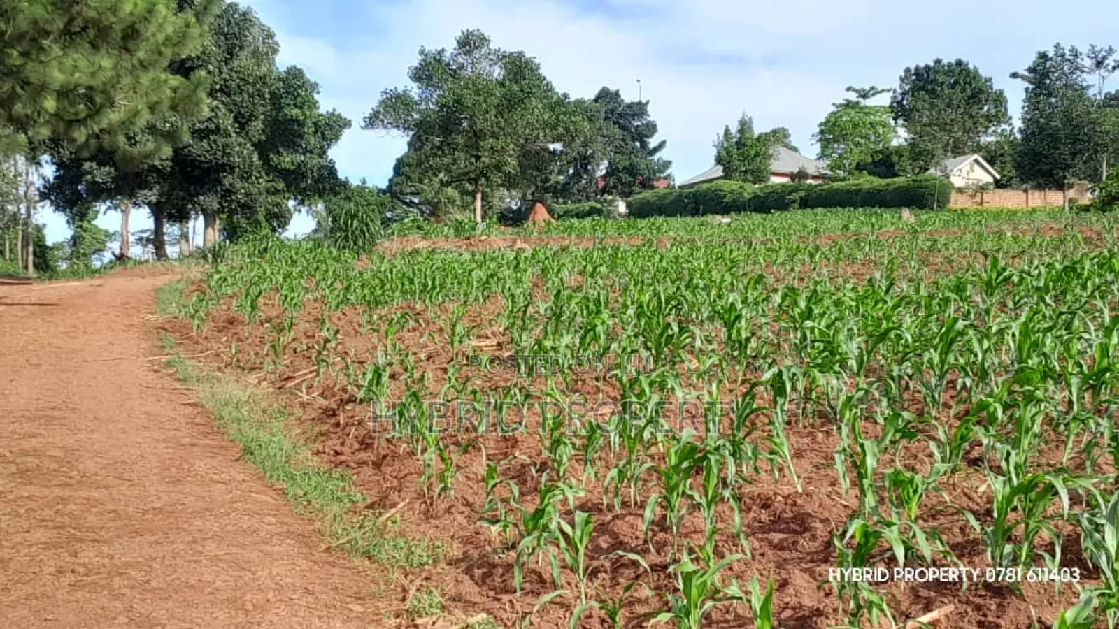 Prime Plots for Sale at Mpigi~Kalagala Hill View Land Estate~Masaka Rd in Mpigi TC