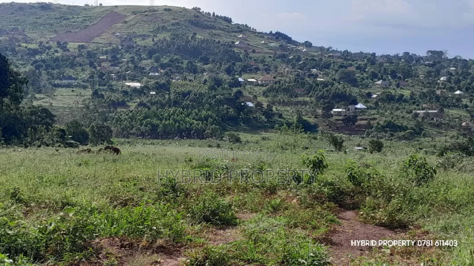 Prime Plots for Sale at Mpigi~Kalagala Hill View Land Estate~Masaka Rd in Mpigi TC