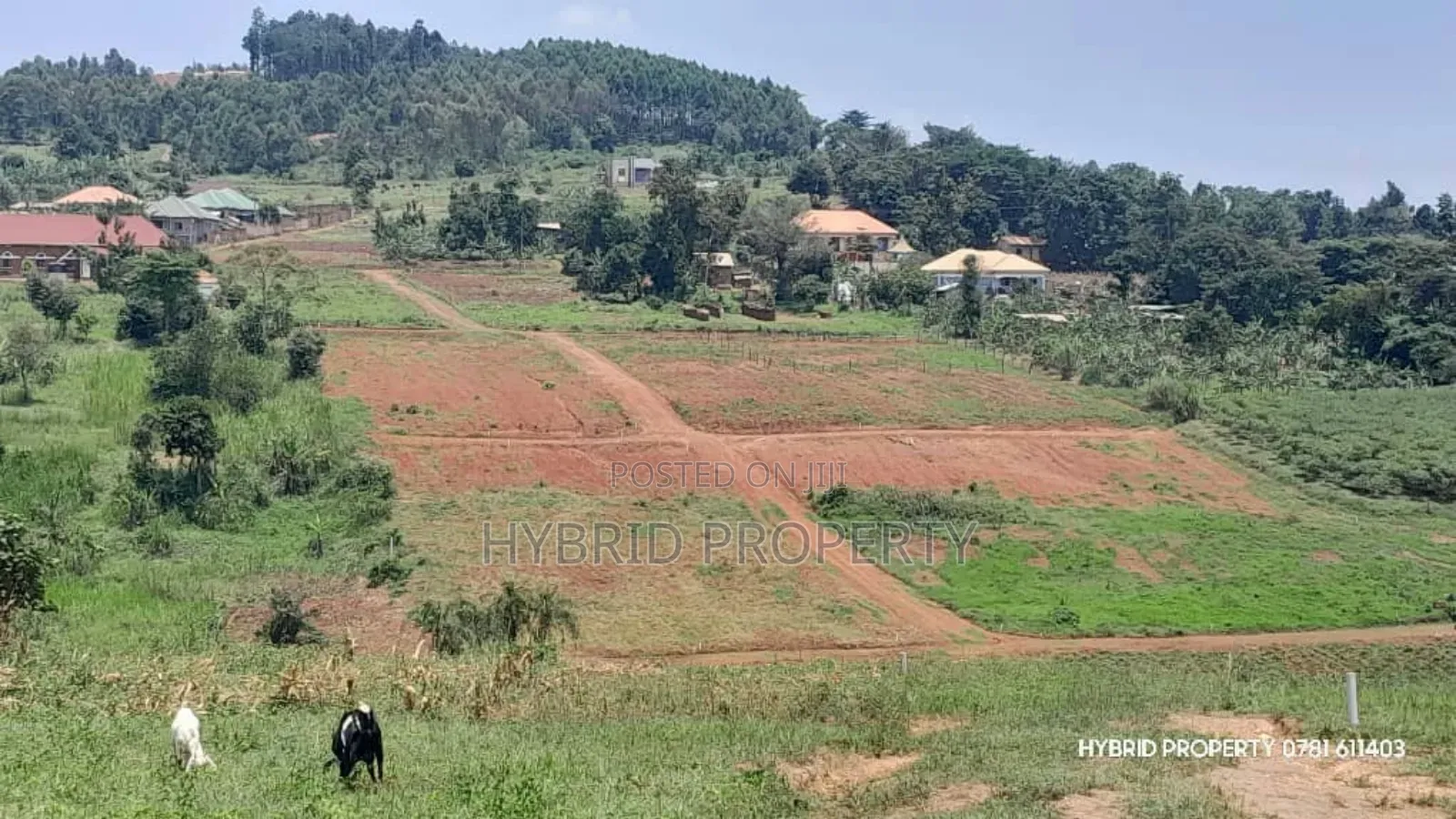 Prime Plots for Sale at Wakiso~Mabombwe Diplomatic Estate~Hoima Road. in Wakiso / Wakiso