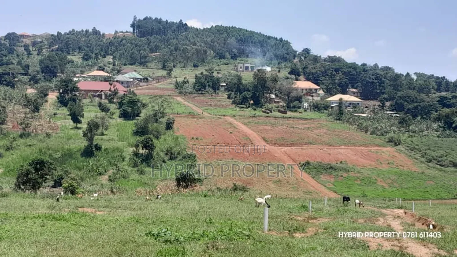 Prime Plots for Sale at Wakiso~Mabombwe Diplomatic Estate~Hoima Road. in Wakiso / Wakiso