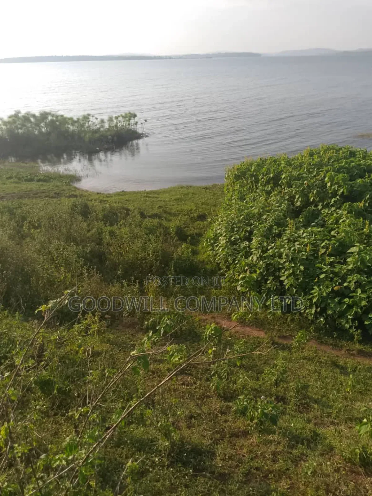 20 Acres of Land in Bubwa Buikwe Touching on Shores of Lake Victoria. in Central Division