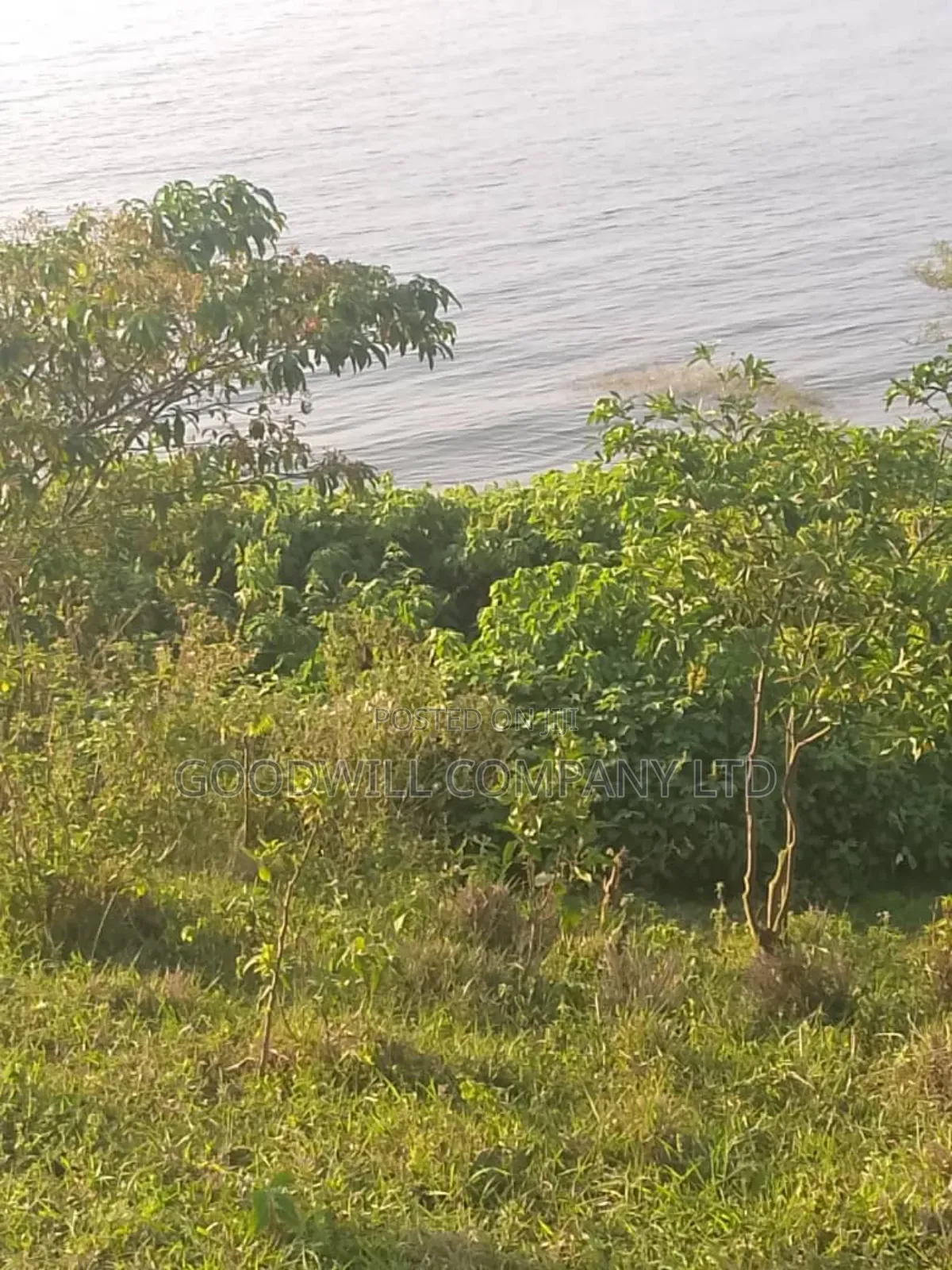 20 Acres of Land in Bubwa Buikwe Touching on Shores of Lake Victoria. in Central Division