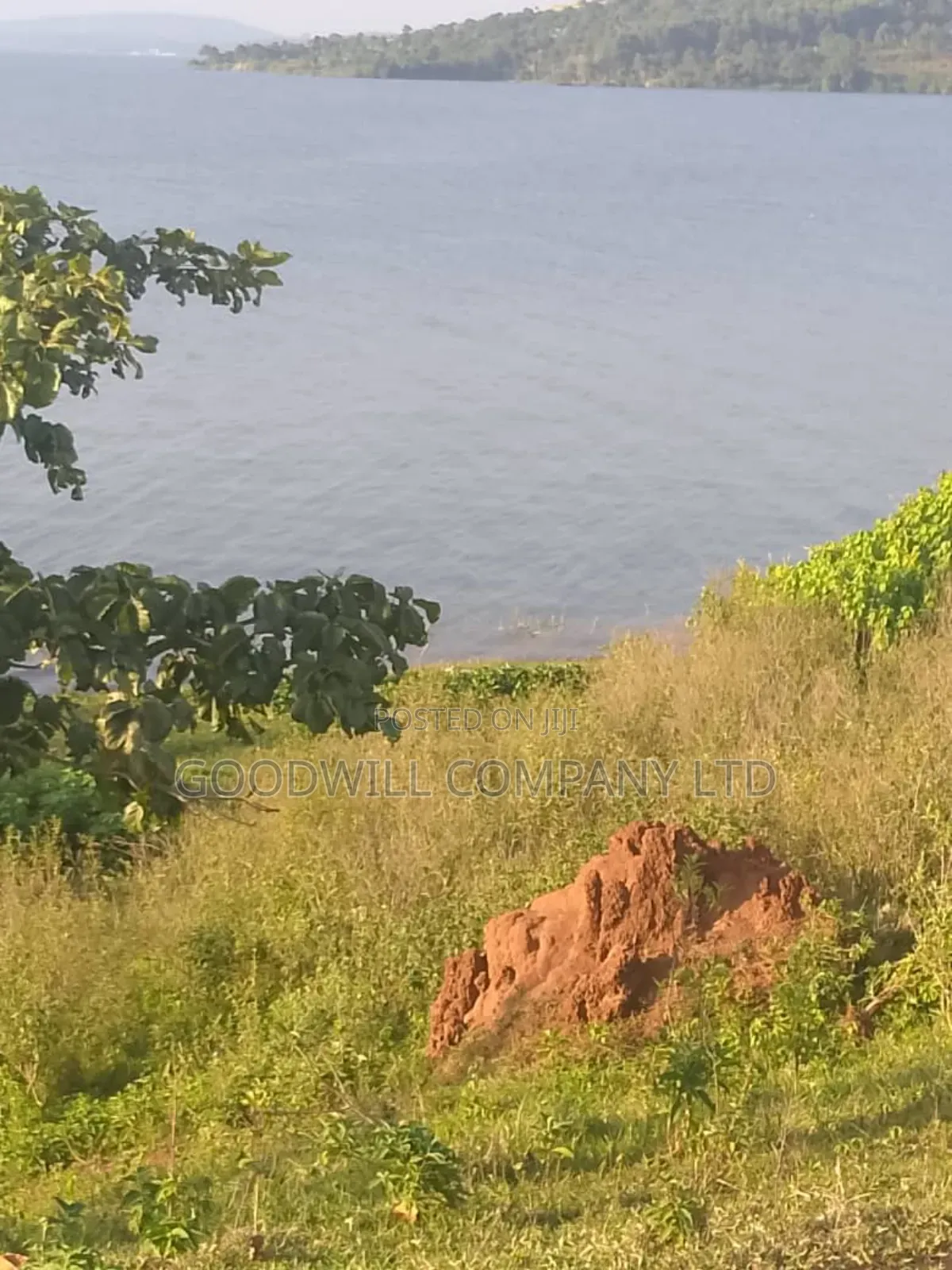 20 Acres of Land in Bubwa Buikwe Touching on Shores of Lake Victoria. in Central Division