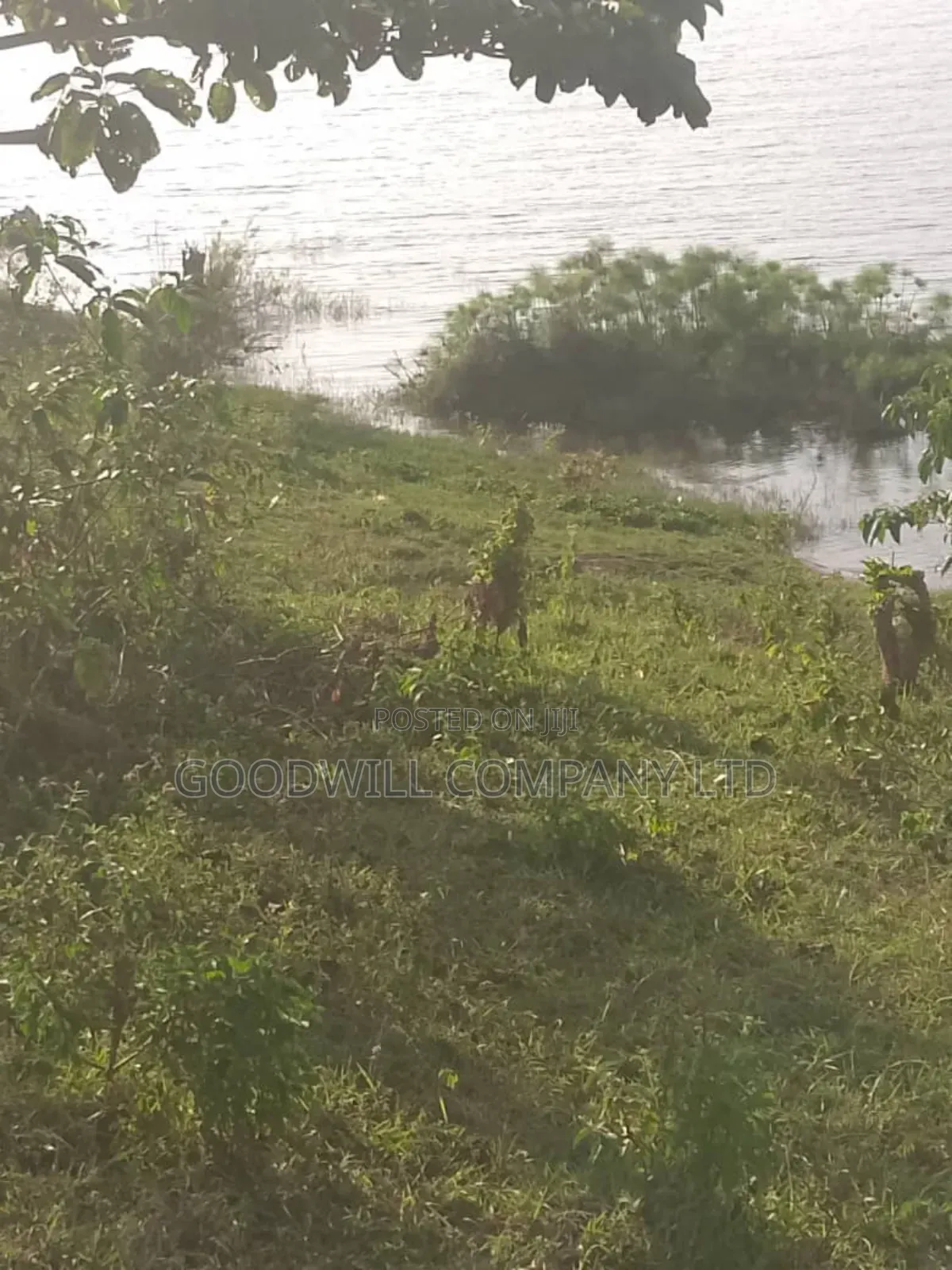 20 Acres of Land in Bubwa Buikwe Touching on Shores of Lake Victoria. in Central Division