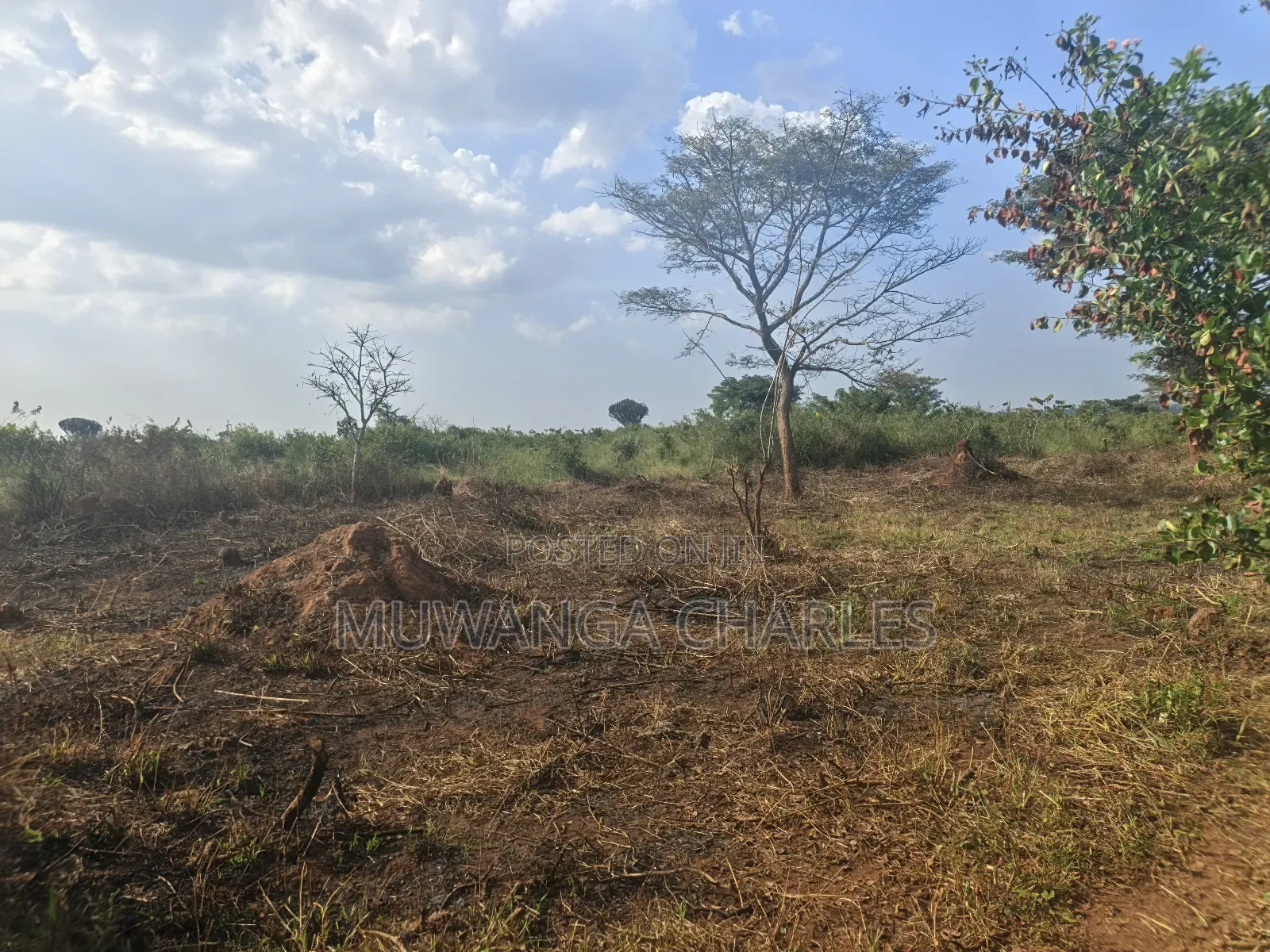 500acres of Land on Sale in Nakasongola in Kakooge