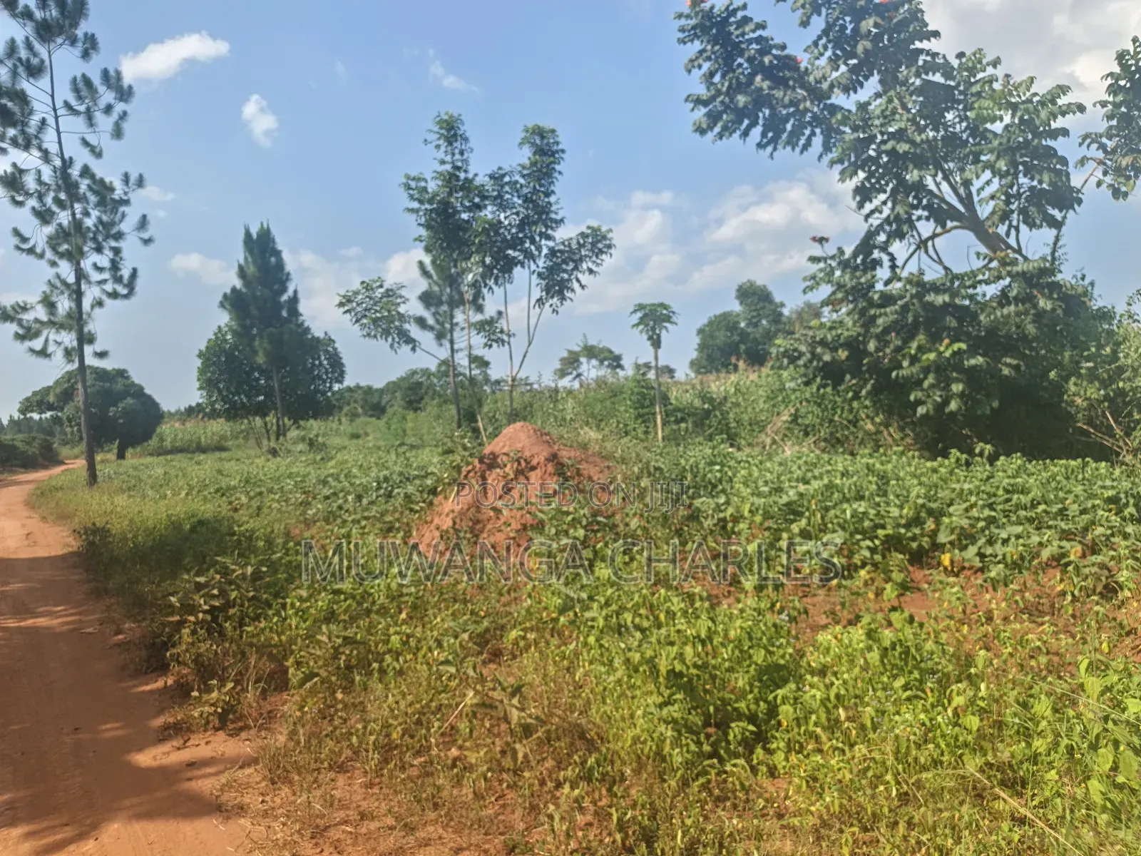 210acres of Land on Sale in Nakasongola Kakooge in Kakooge