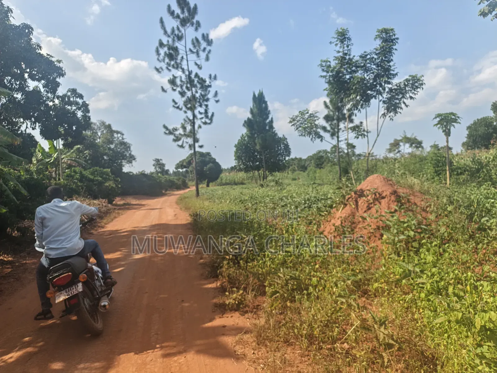 210acres of Land on Sale in Nakasongola Kakooge in Kakooge