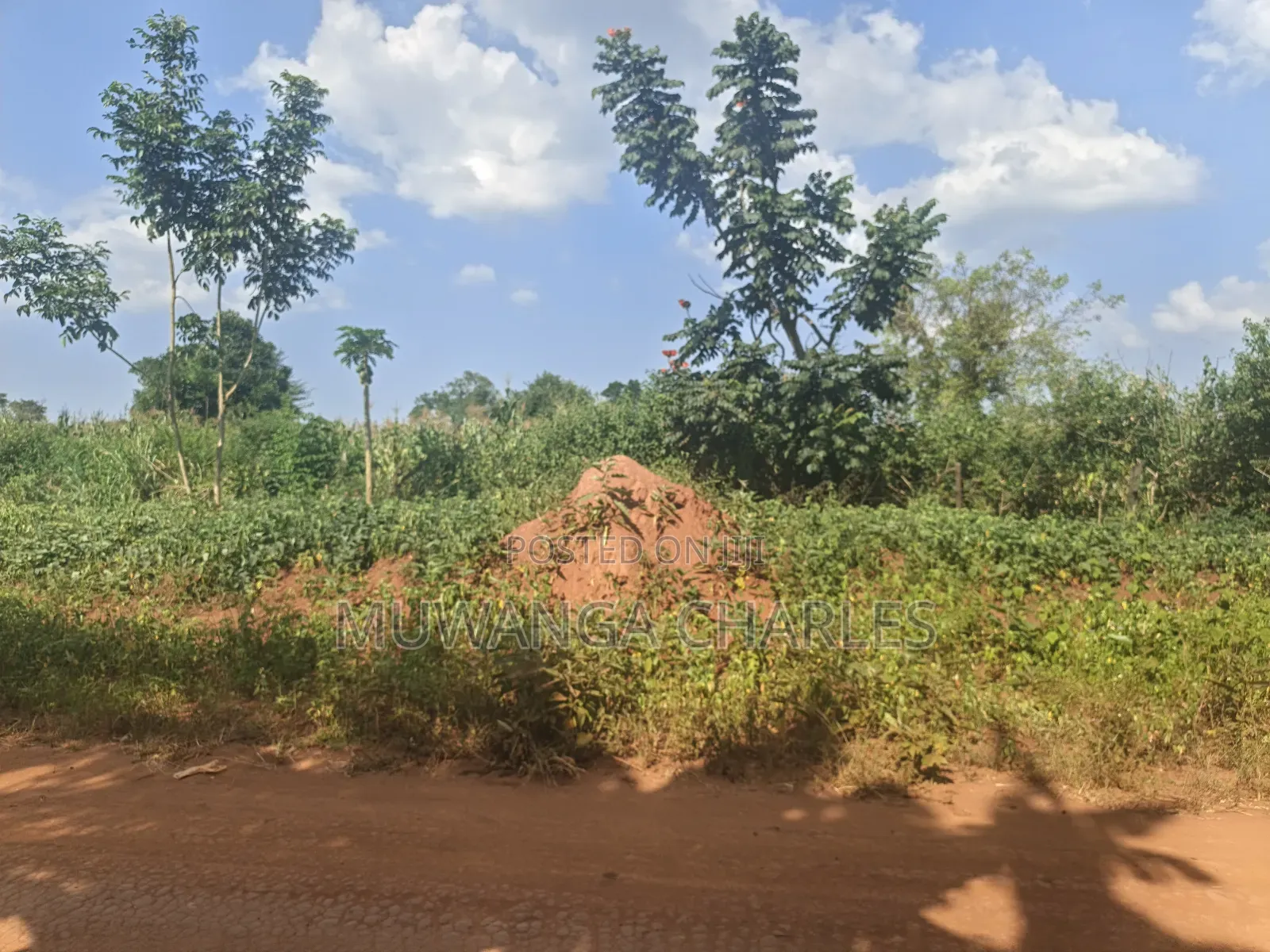 210acres of Land on Sale in Nakasongola Kakooge in Kakooge