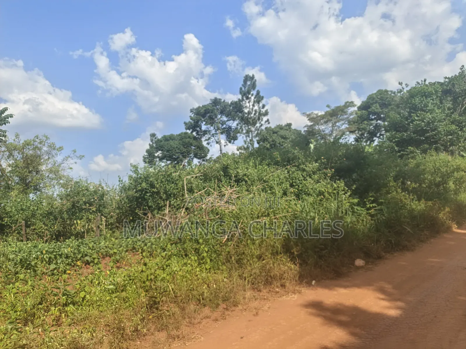 210acres of Land on Sale in Nakasongola Kakooge in Kakooge