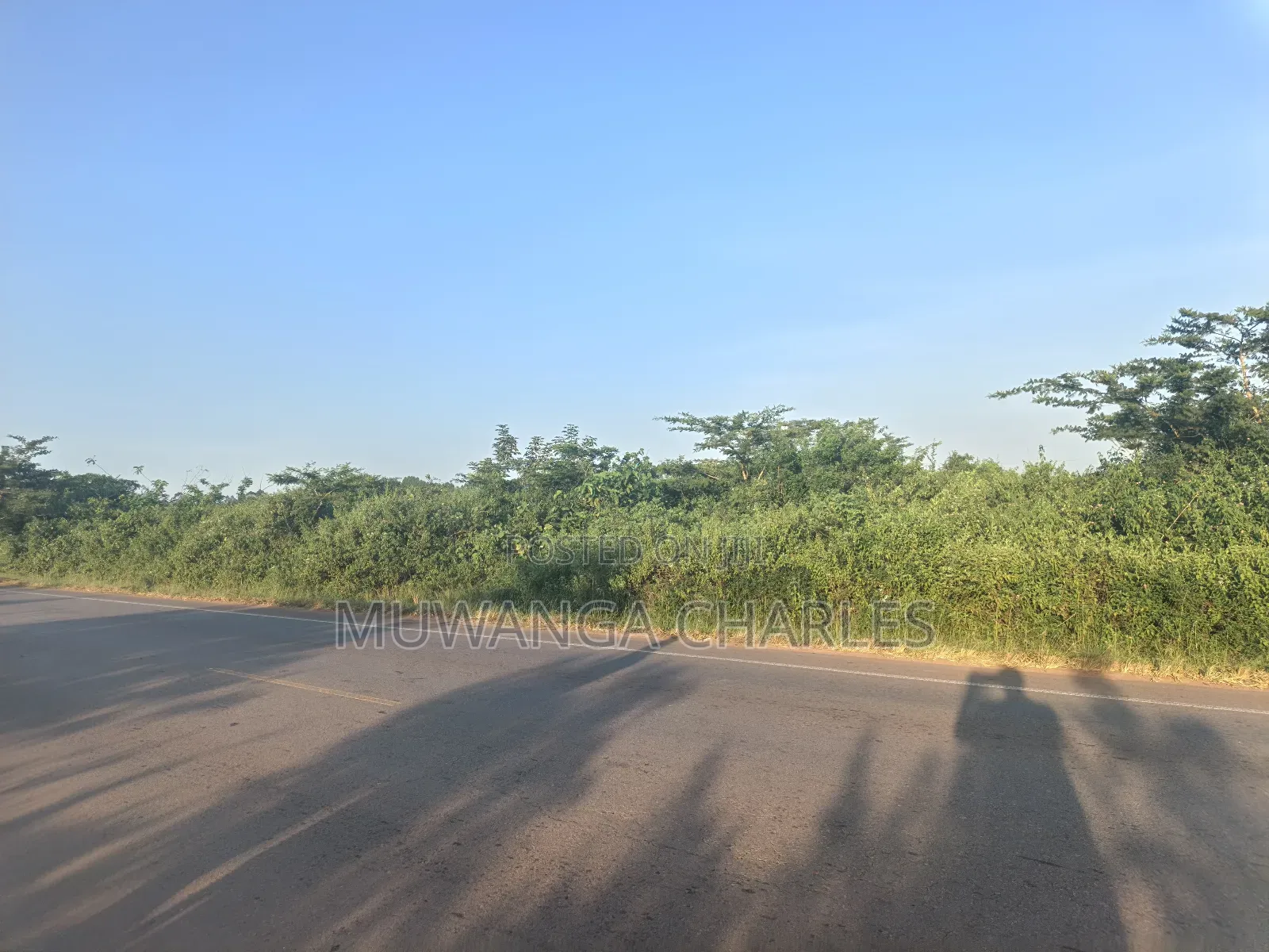 100acres on Sale in Nakasongola Kakooge Main Road in Kakooge