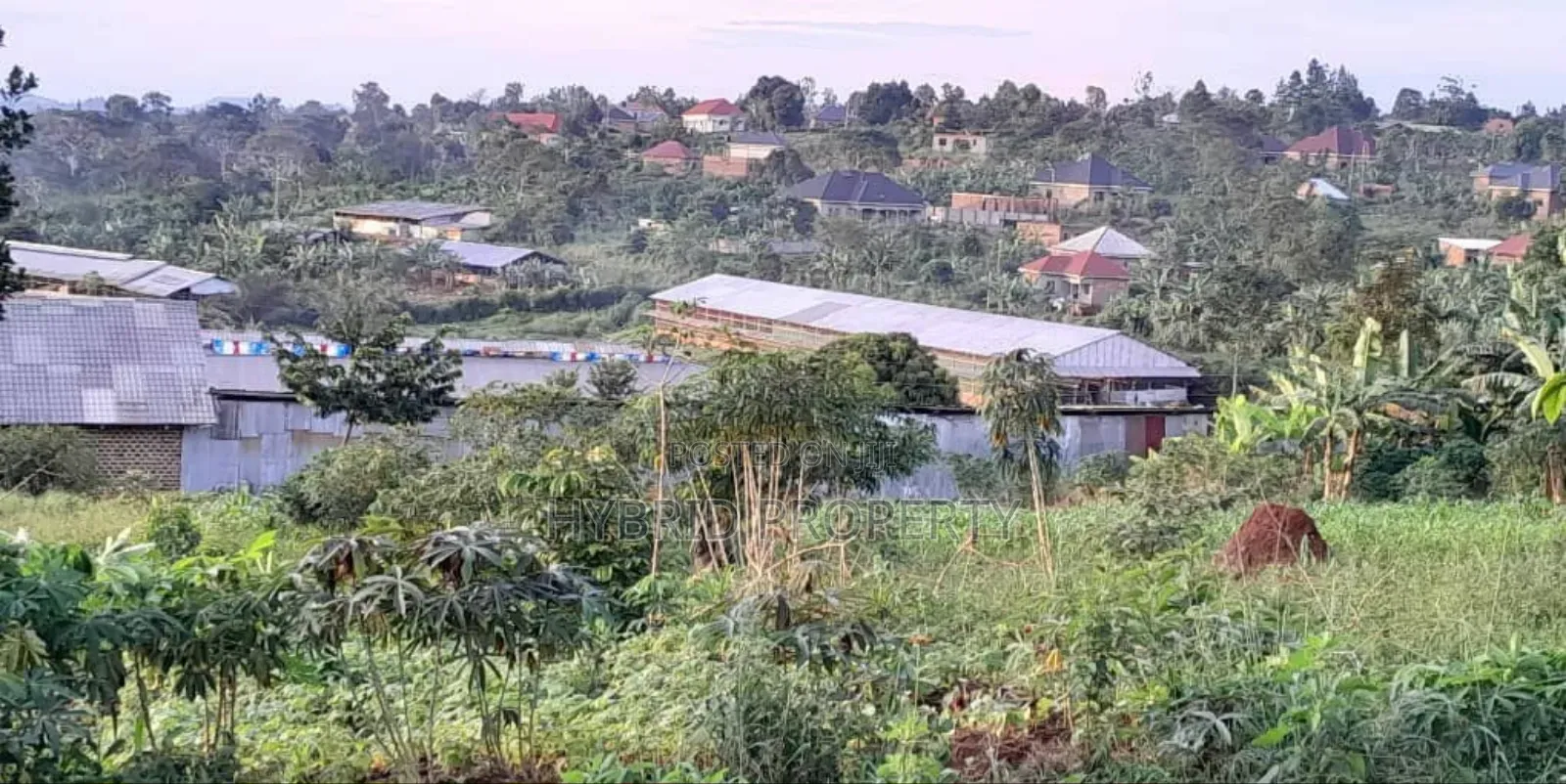 Prime Plots For Sale At Maya~Nanziga Divine Land Estate~Masaka Road V. in Nsangi