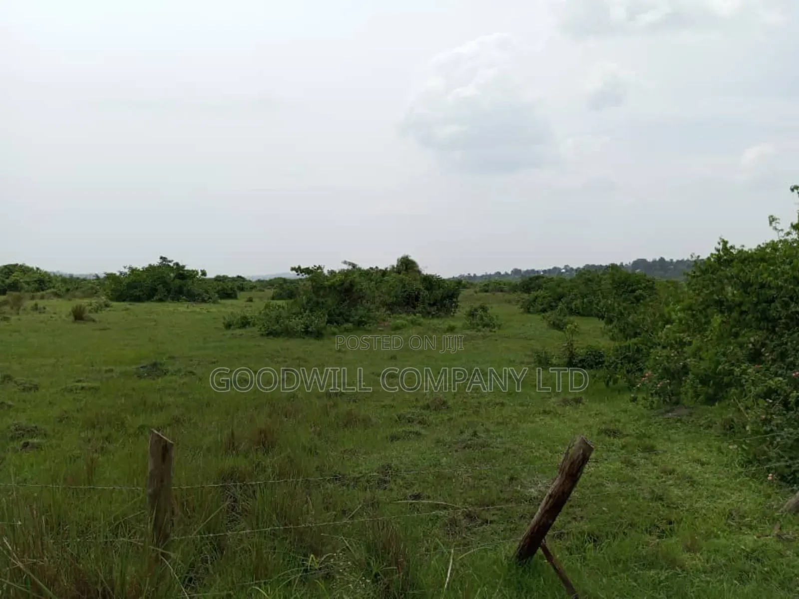 15 Acres of Well Fenced Farm Land in Masaka Kinoni Private Mailo Title in Central Division