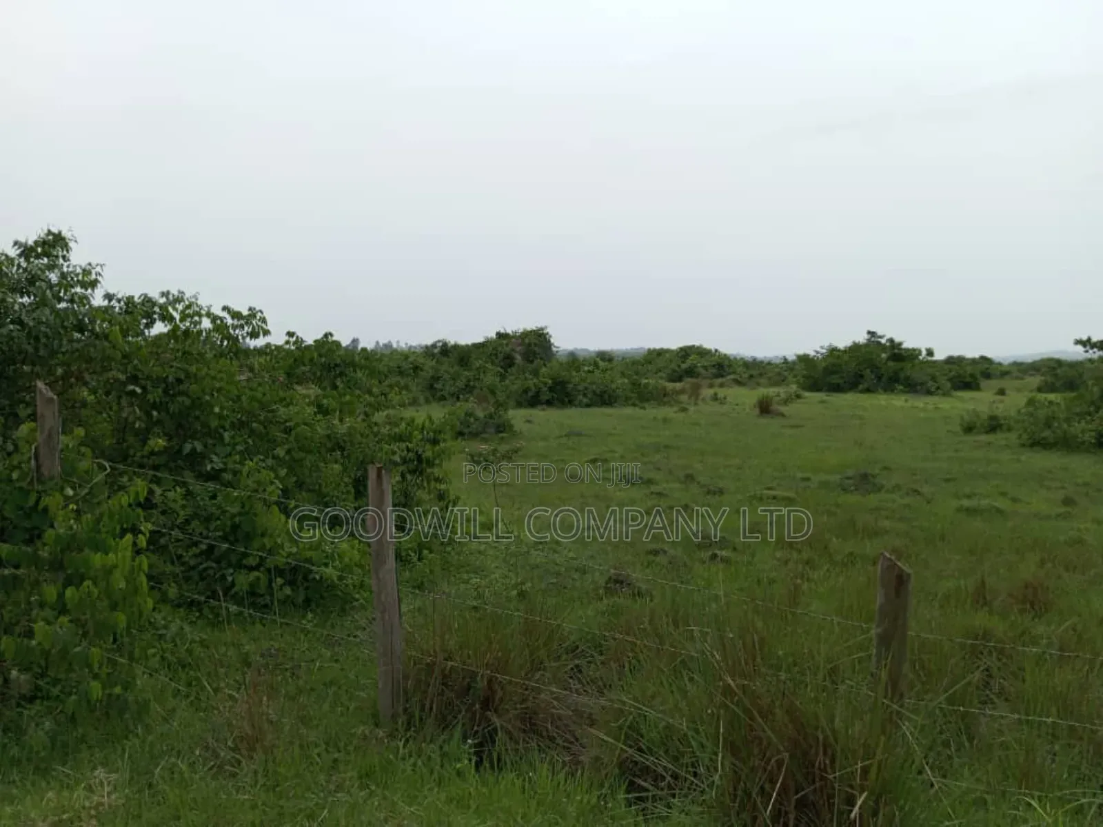 15 Acres of Well Fenced Farm Land in Masaka Kinoni Private Mailo Title in Central Division