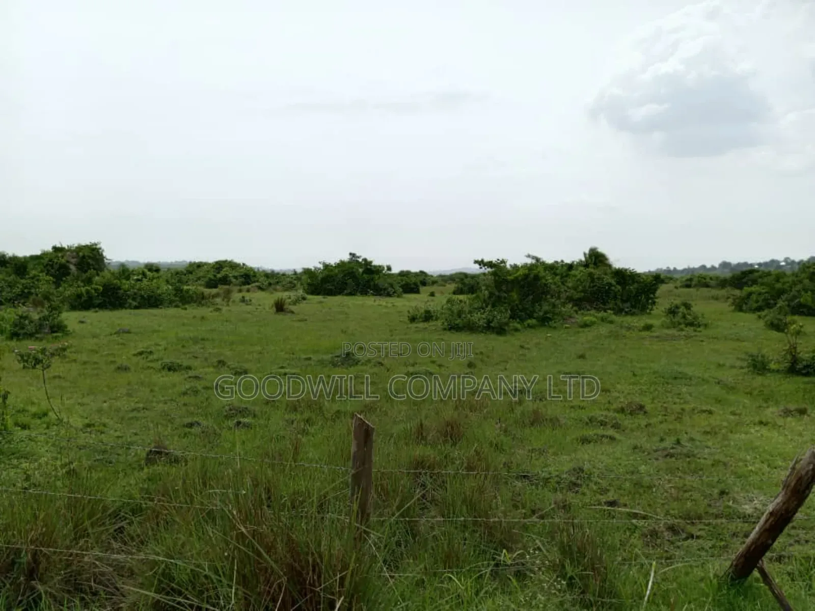 15 Acres of Well Fenced Farm Land in Masaka Kinoni Private Mailo Title in Central Division