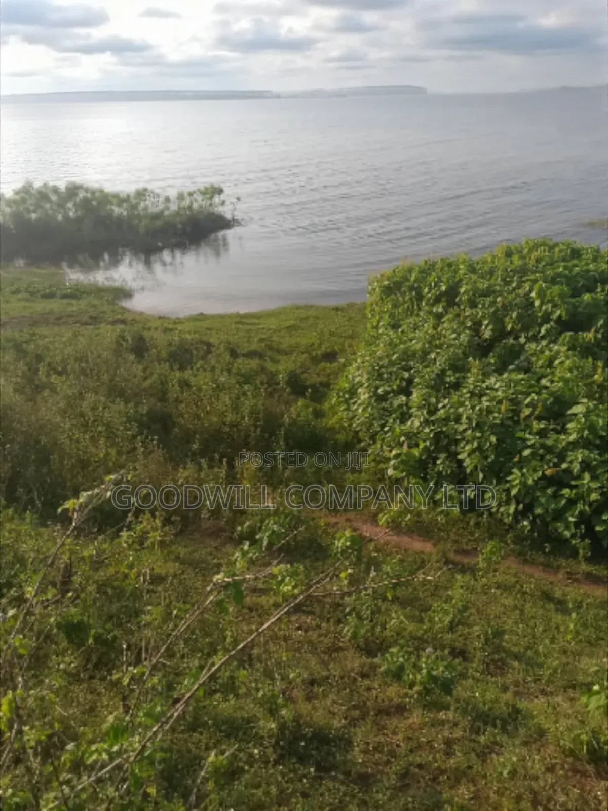 23 Acres of Land in Nkokonjeru Touching on Victoria, 25kms Off Tarmac in Central Division
