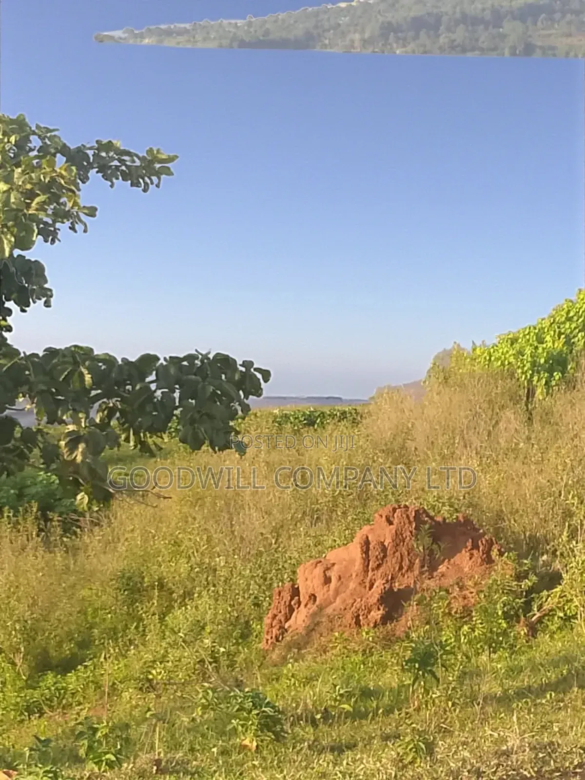 23 Acres of Land in Nkokonjeru Touching on Victoria, 25kms Off Tarmac in Central Division