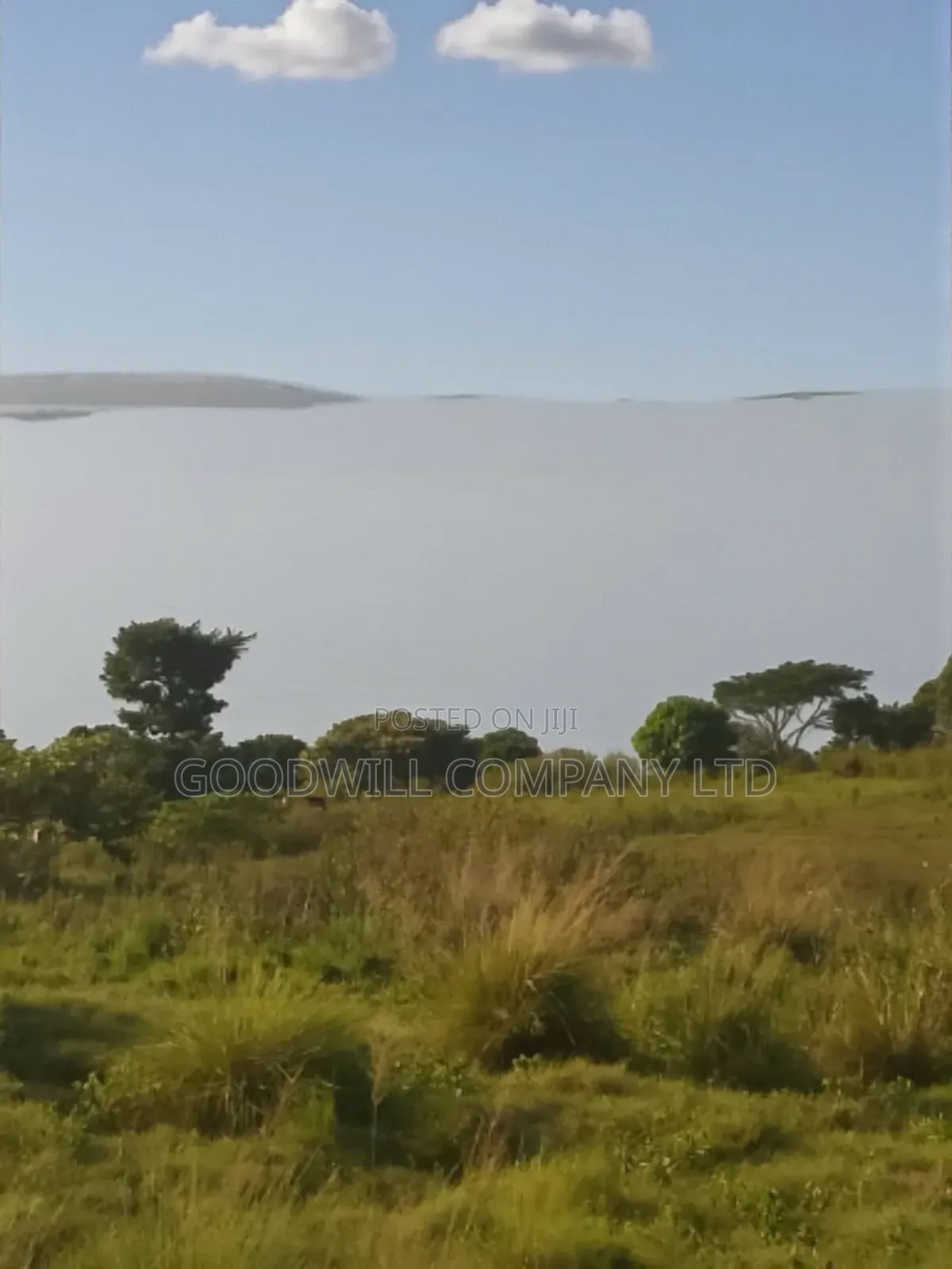 23 Acres of Land in Nkokonjeru Touching on Victoria, 25kms Off Tarmac in Central Division