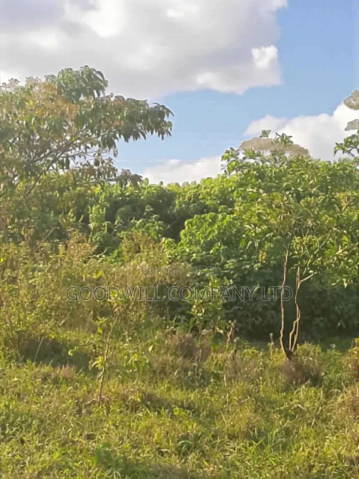 23 Acres of Land in Nkokonjeru Touching on Victoria, 25kms Off Tarmac in Central Division