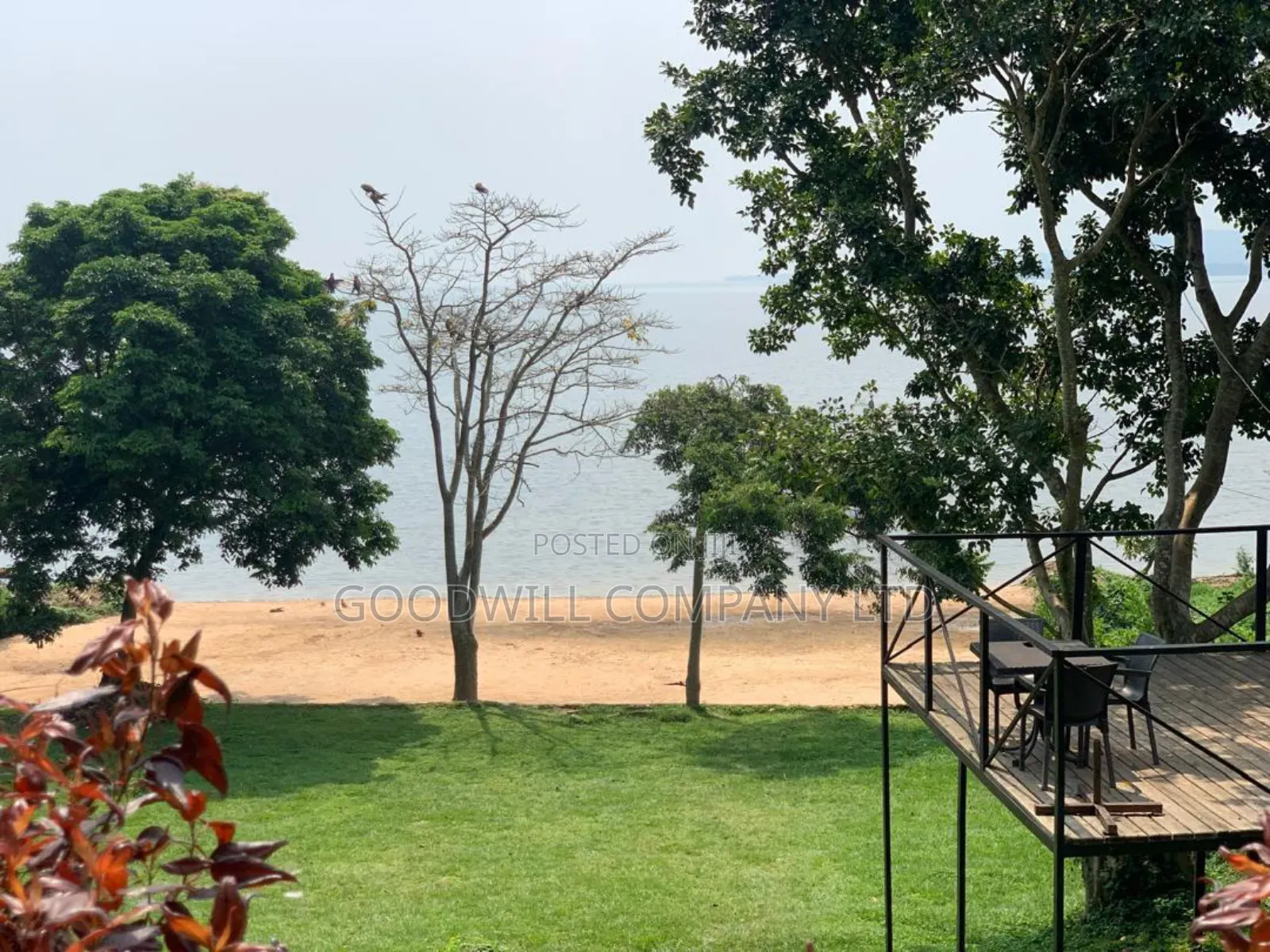 2.5 Acres of Established Beach on Bbusi Island, Near Entebbe Airport in Central Division