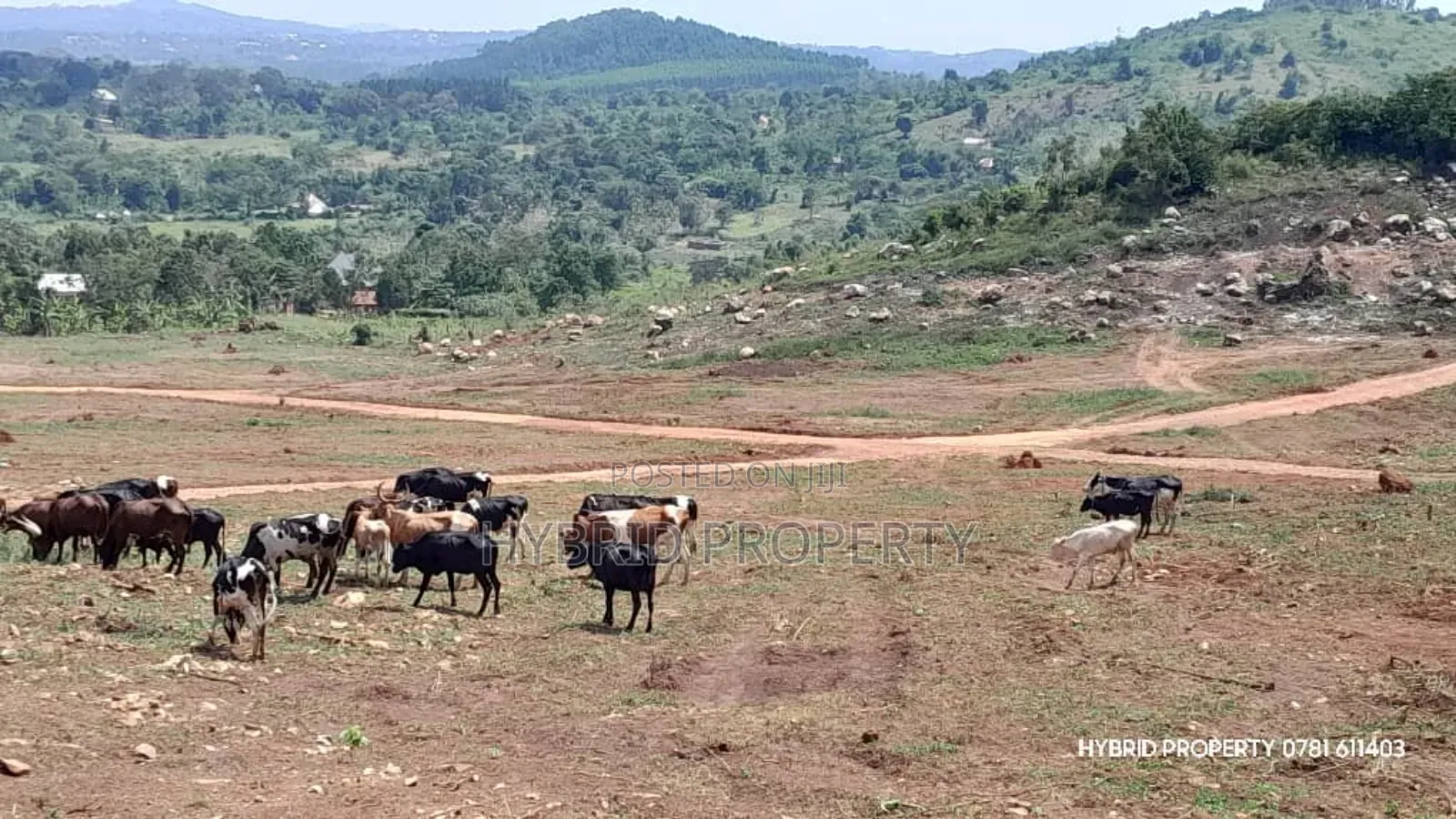 Prime Plots For Sale At Kakiri Muguluka Hill View Kulya Show Estate. in Kakiri
