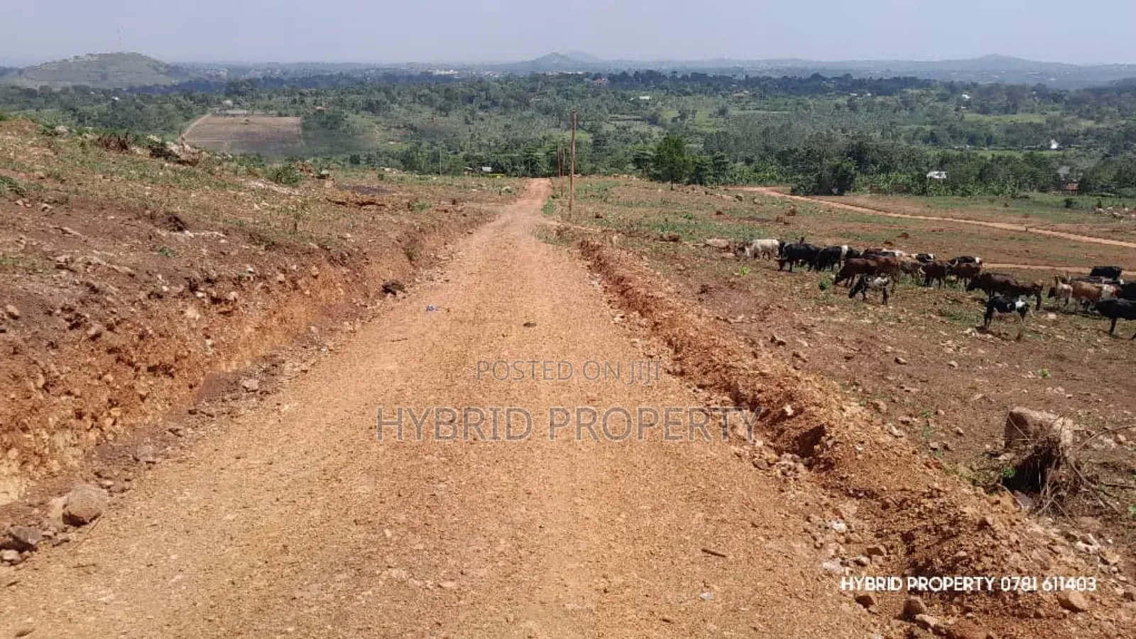 Prime Plots For Sale At Kakiri Muguluka Hill View Kulya Show Estate. in Kakiri