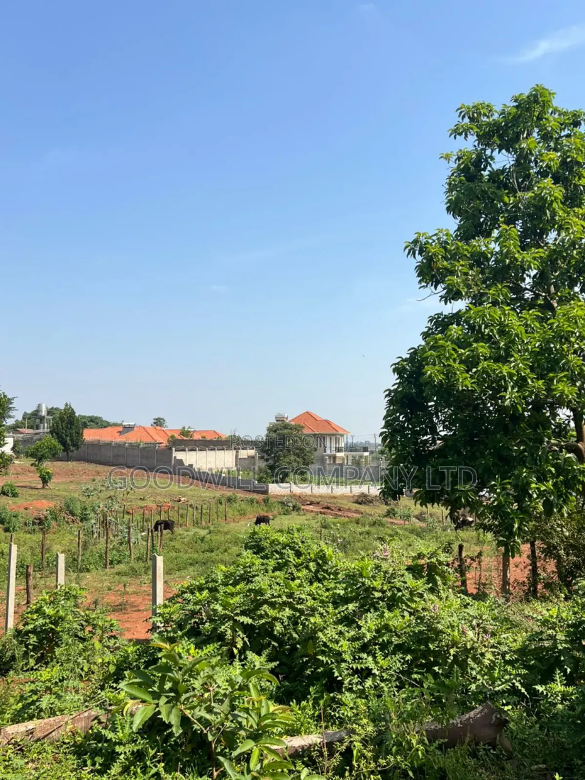 3 Acres of Land in Kira Bulindo Nsasa in Central Division