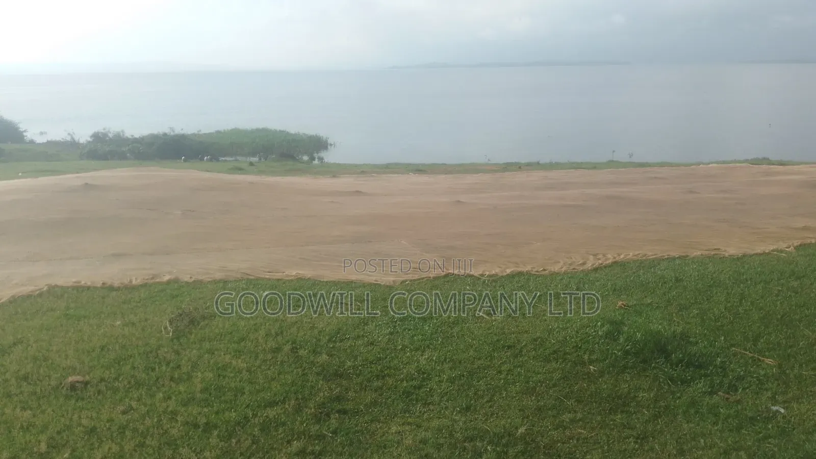 2 Acres of Beach Land in Kiyindi Nkokonjeru Touching on Lake Victoria in Central Division